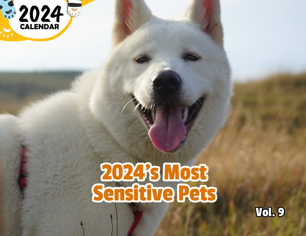 2024's Most Sensitive Pets Volume Nine: 2024 Wall Calendar (Published)