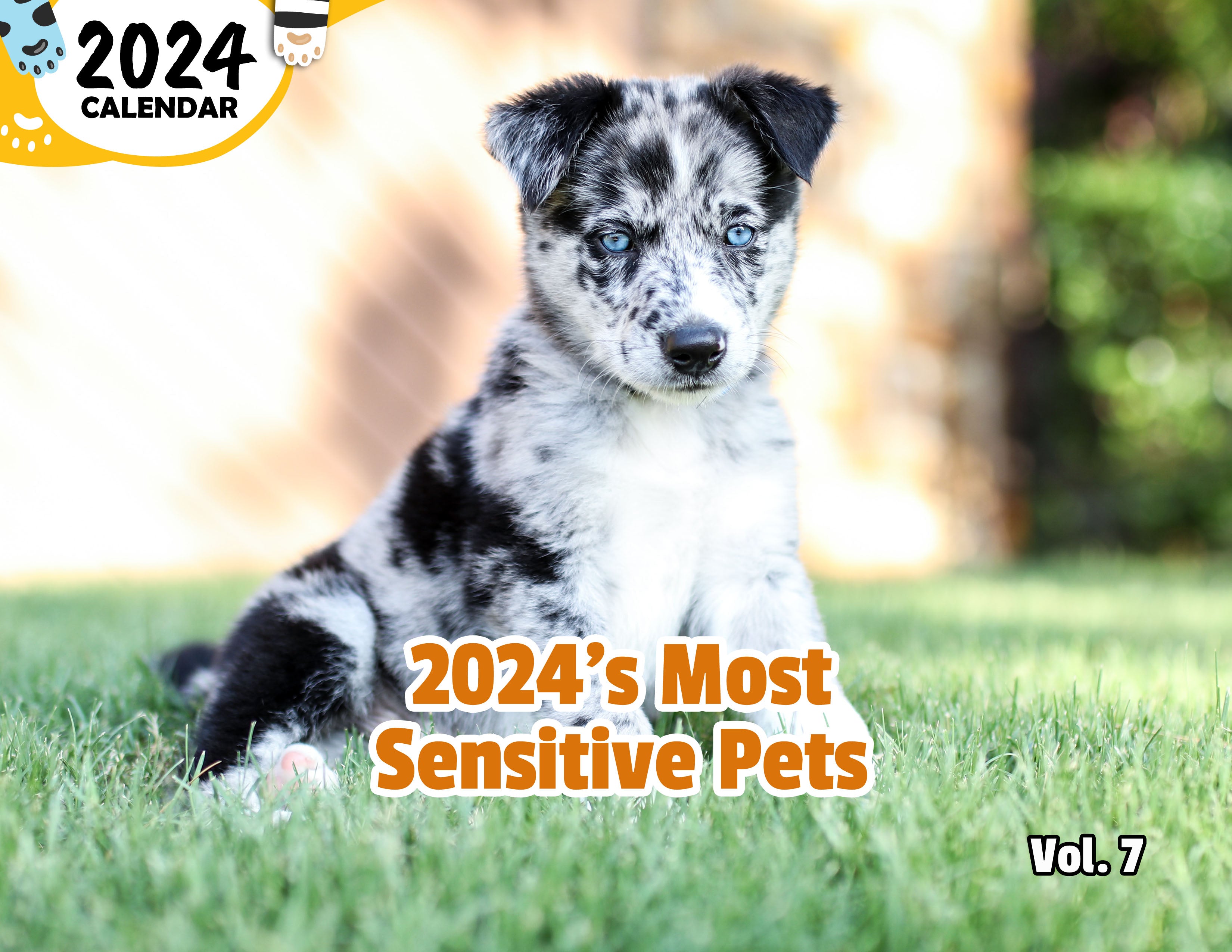 2024's Most Sensitive Pets Volume Seven: 2024 Wall Calendar (Published)