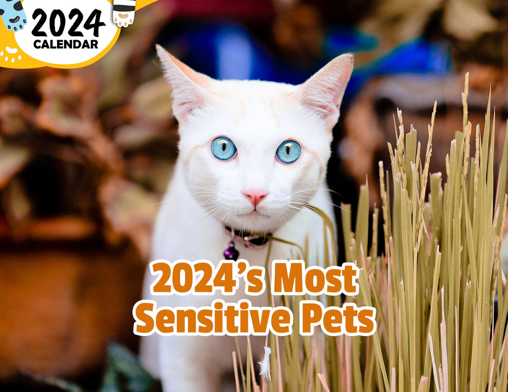 2024's Most Sensitive Pets: 2024 Wall Calendar (Published)