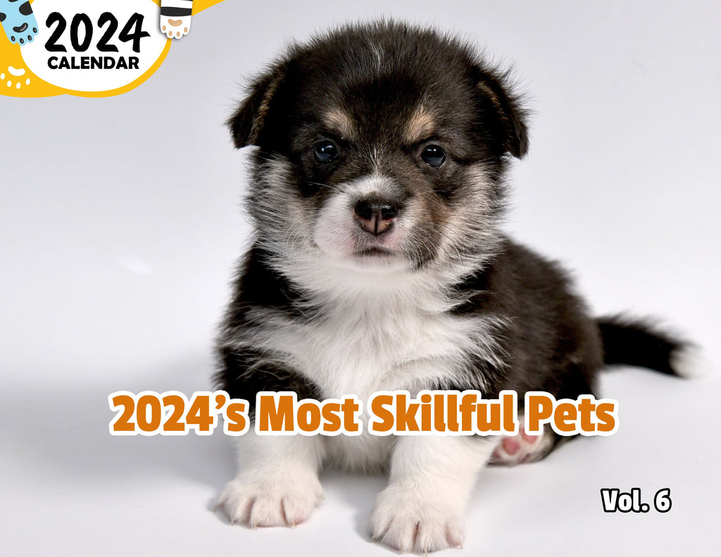 2024's Most Skillful Pets Volume Six: 2024 Wall Calendar (Published)
