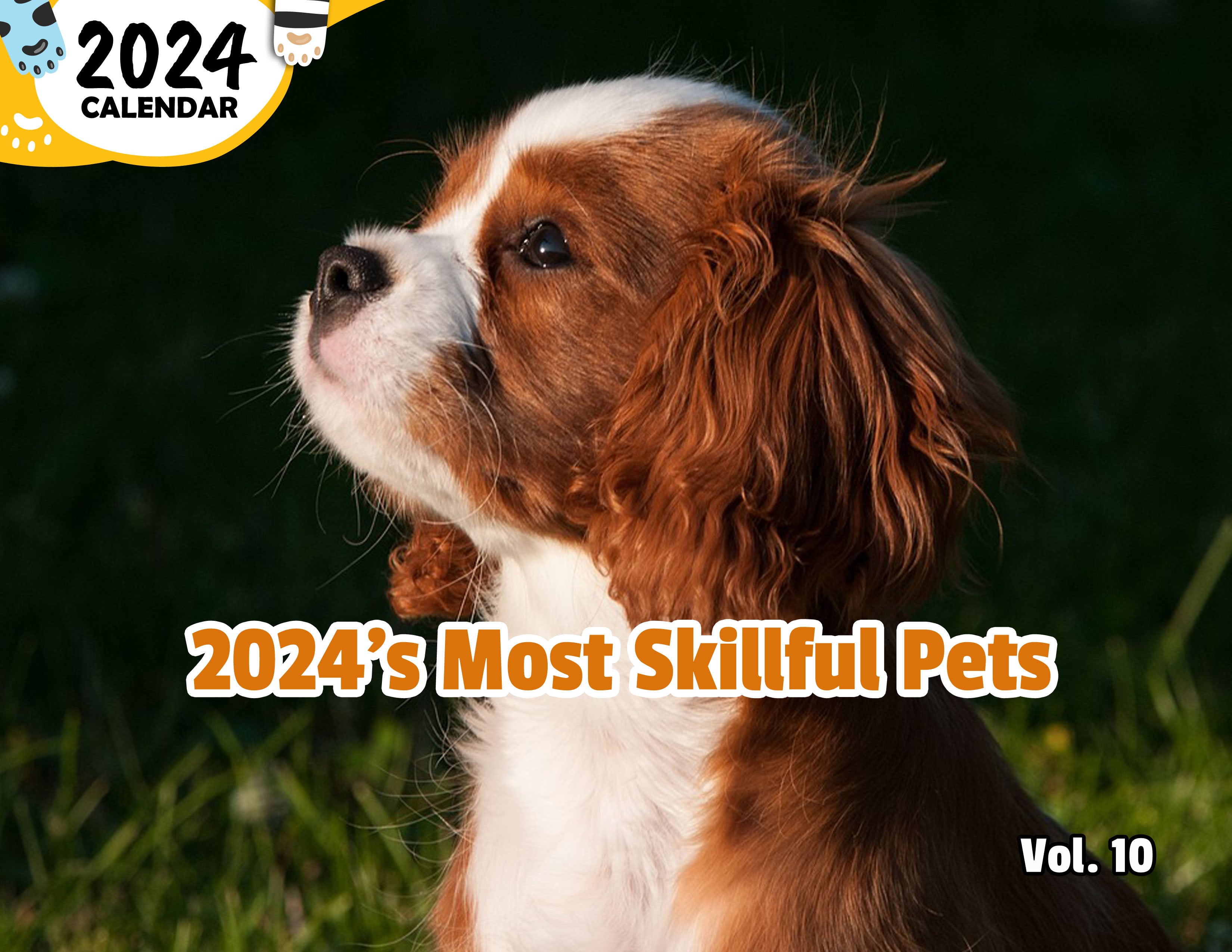 2024's Most Skillful Pets Volume Ten: 2024 Wall Calendar (Published)