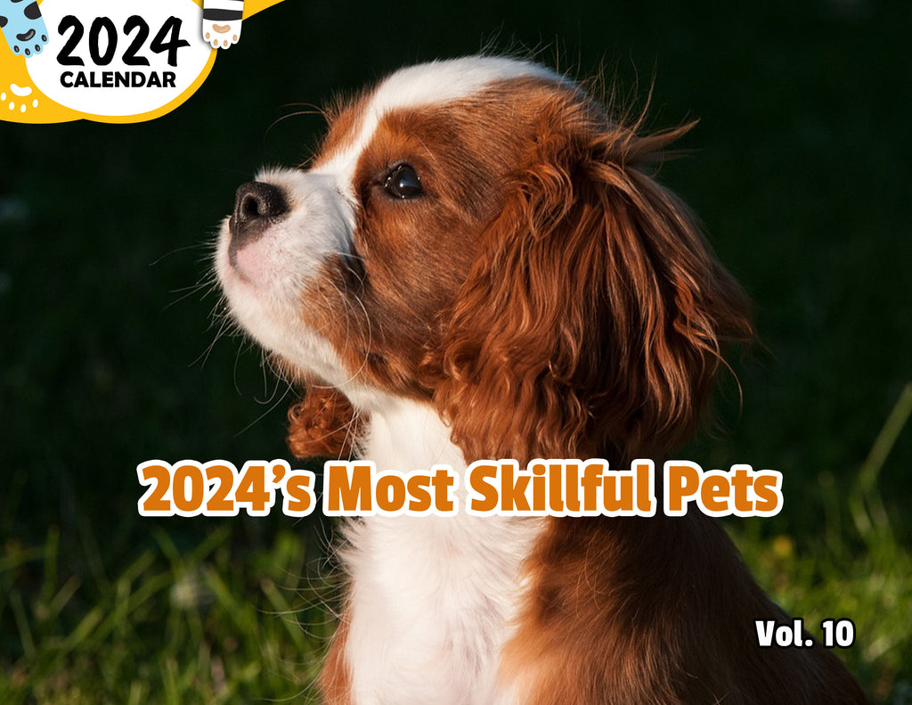2024's Most Skillful Pets Volume Ten: 2024 Wall Calendar (Published)