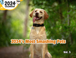 2024's Most Smashing Pets Volume Five: 2024 Wall Calendar (Published)