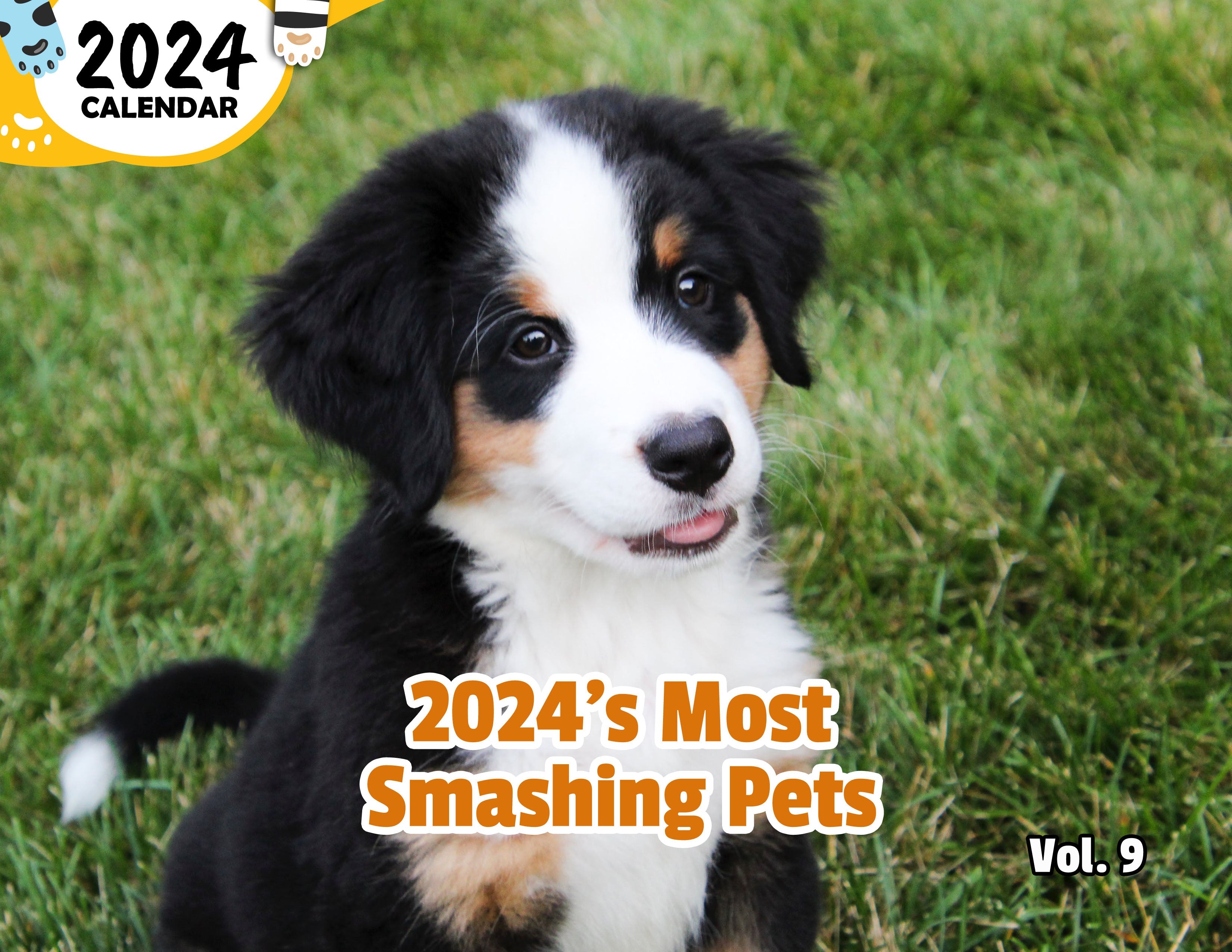 2024's Most Smashing Pets Volume Nine: 2024 Wall Calendar (Published)