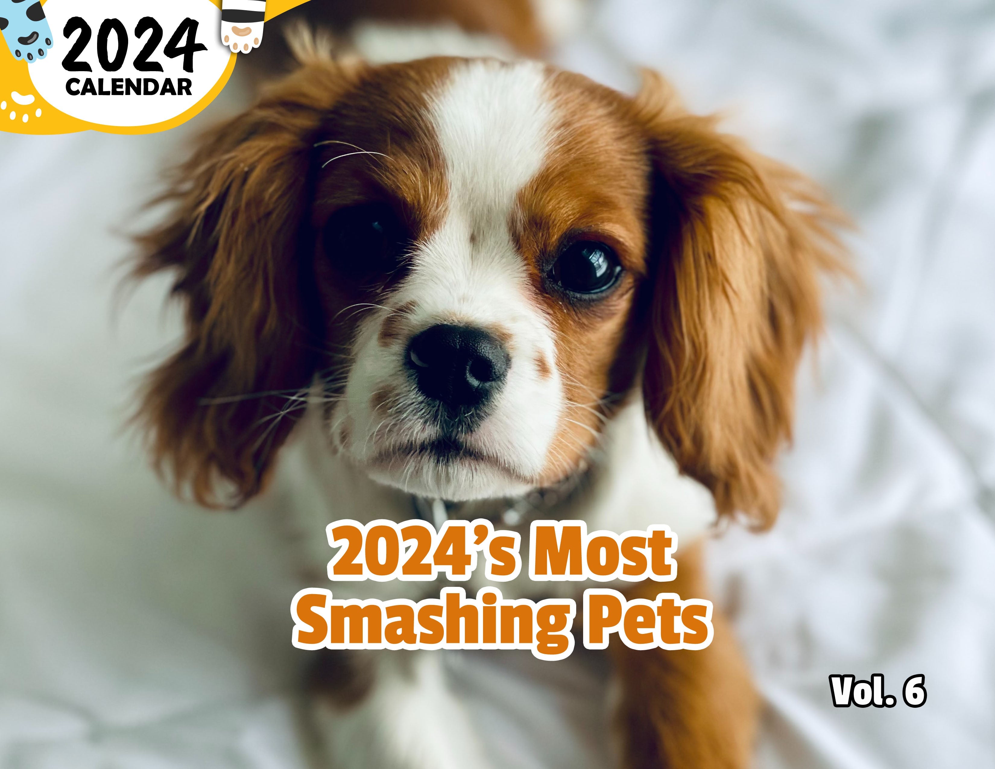 2024's Most Smashing Pets Volume Six: 2024 Wall Calendar (Published)