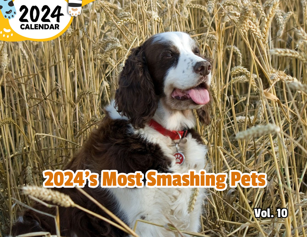 2024's Most Smashing Pets Volume Ten: 2024 Wall Calendar (Published)