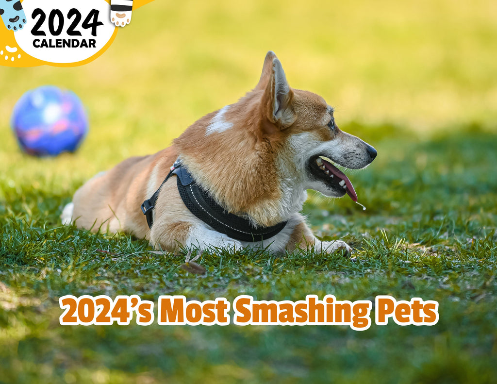 2024's Most Smashing Pets: 2024 Wall Calendar (Published)