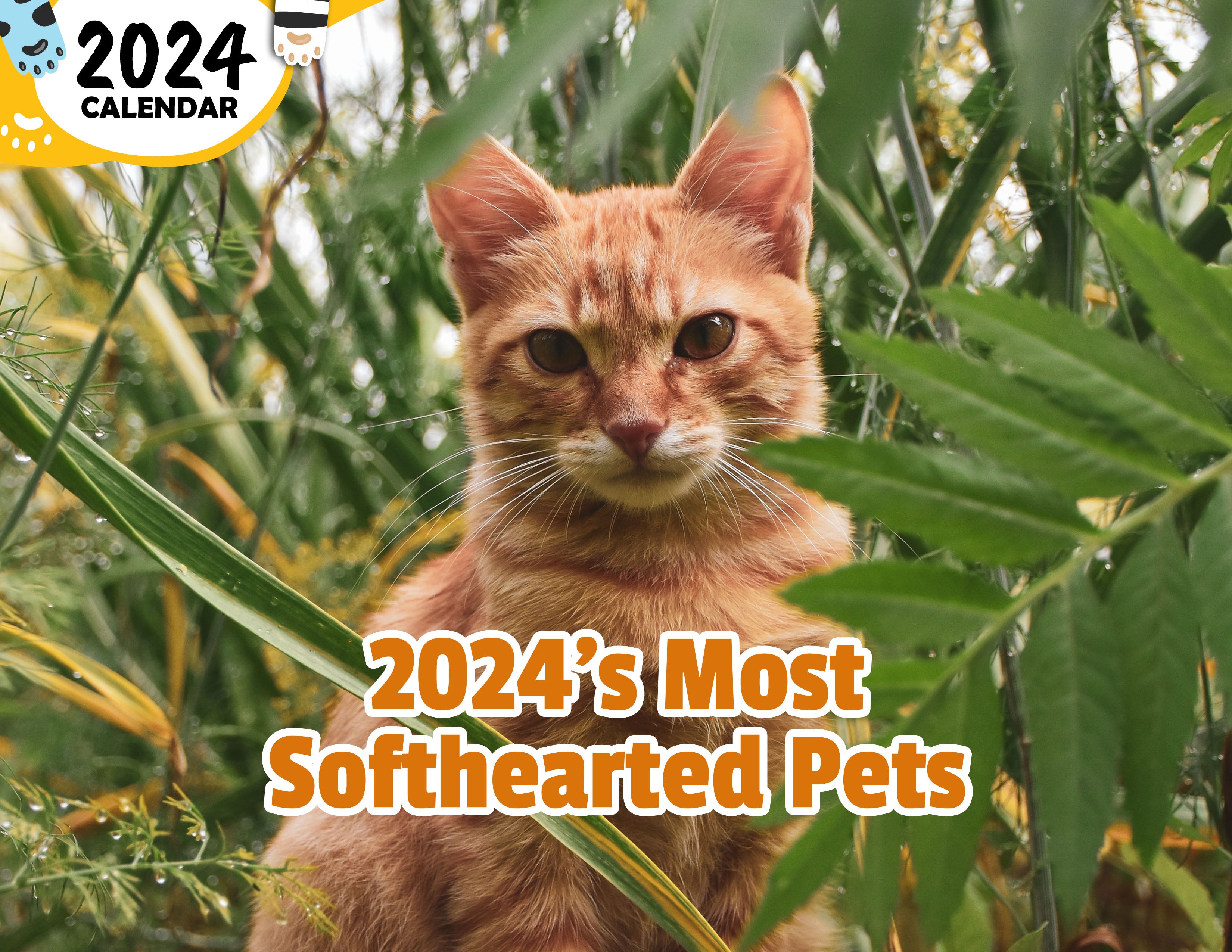 2024's Most Softhearted Pets: 2024 Wall Calendar (Published)