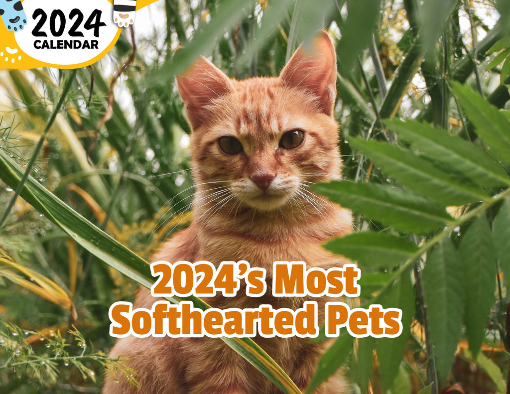 2024's Most Softhearted Pets: 2024 Wall Calendar (Published)