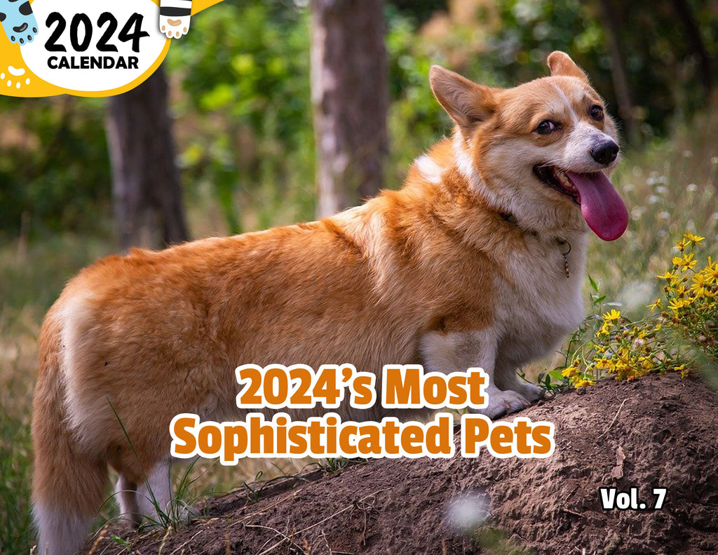 2024's Most Sophisticated Pets Volume Seven: 2024 Wall Calendar (Published)