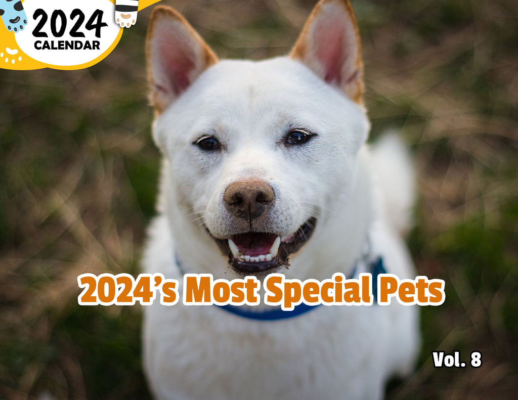 2024's Most Special Pets Volume Eight: 2024 Wall Calendar (Published)
