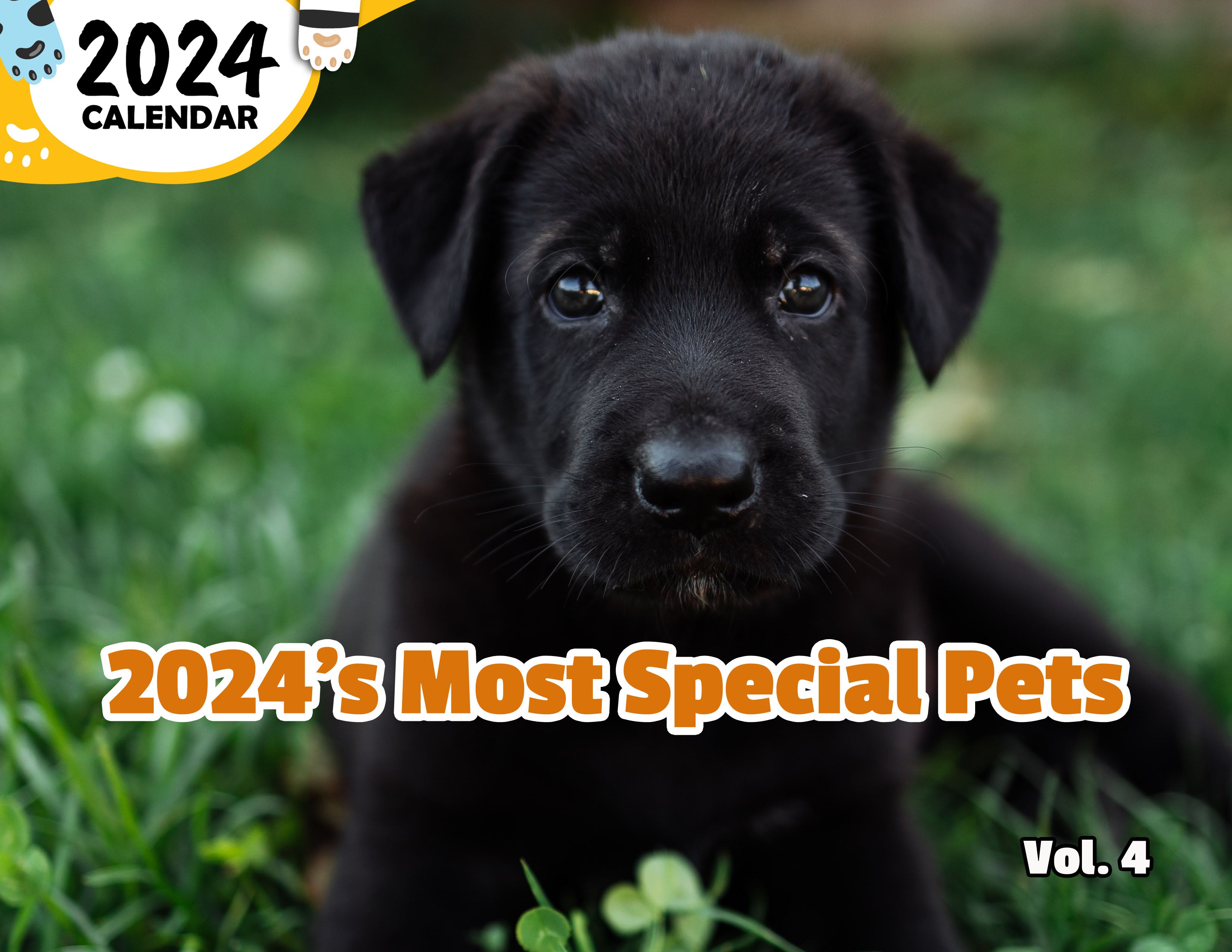 2024's Most Special Pets Volume Four: 2024 Wall Calendar (Published)