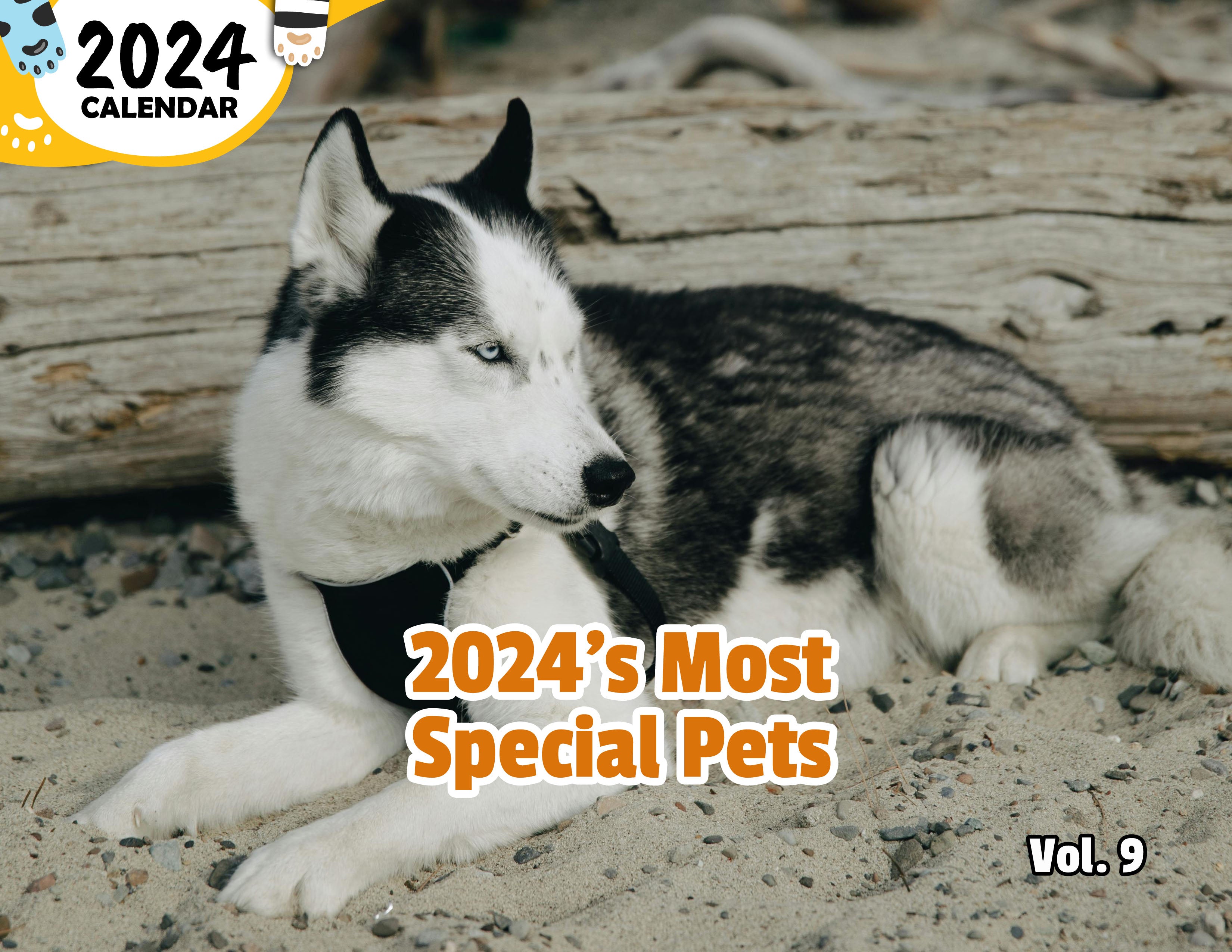 2024's Most Special Pets Volume Nine: 2024 Wall Calendar (Published)