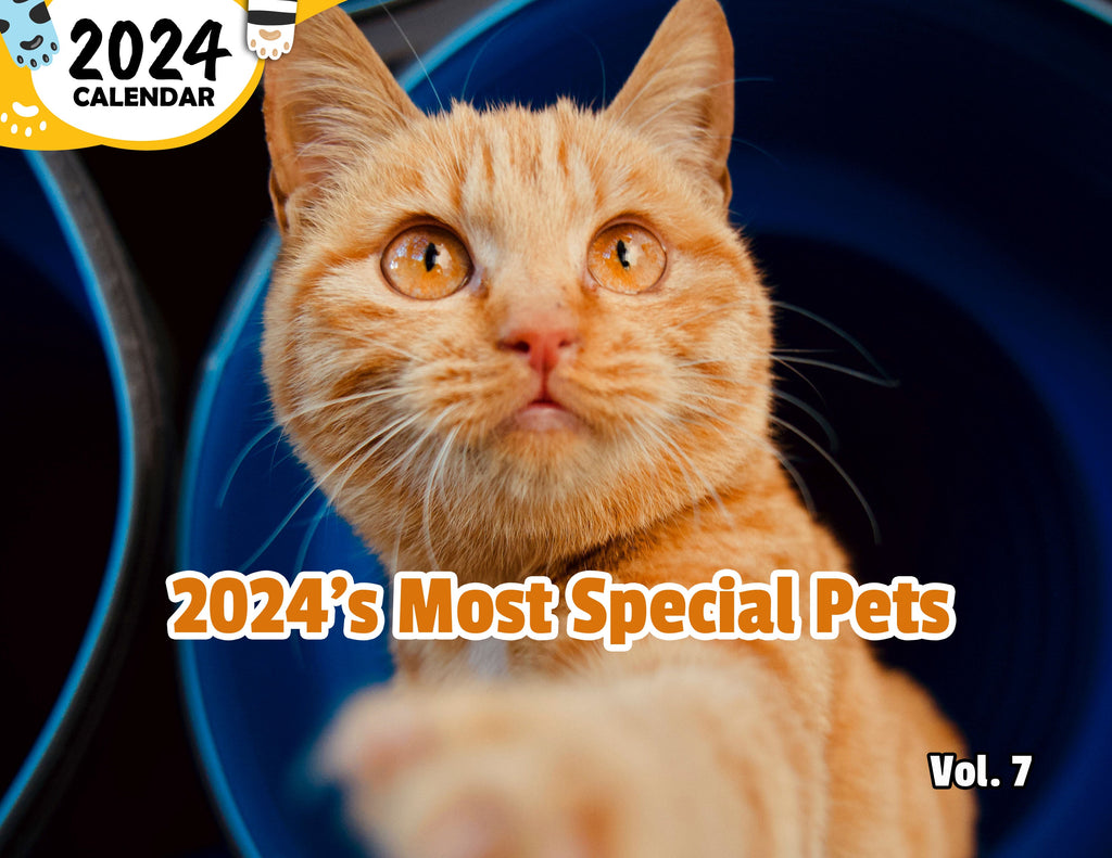 2024's Most Special Pets Volume Seven: 2024 Wall Calendar (Published)