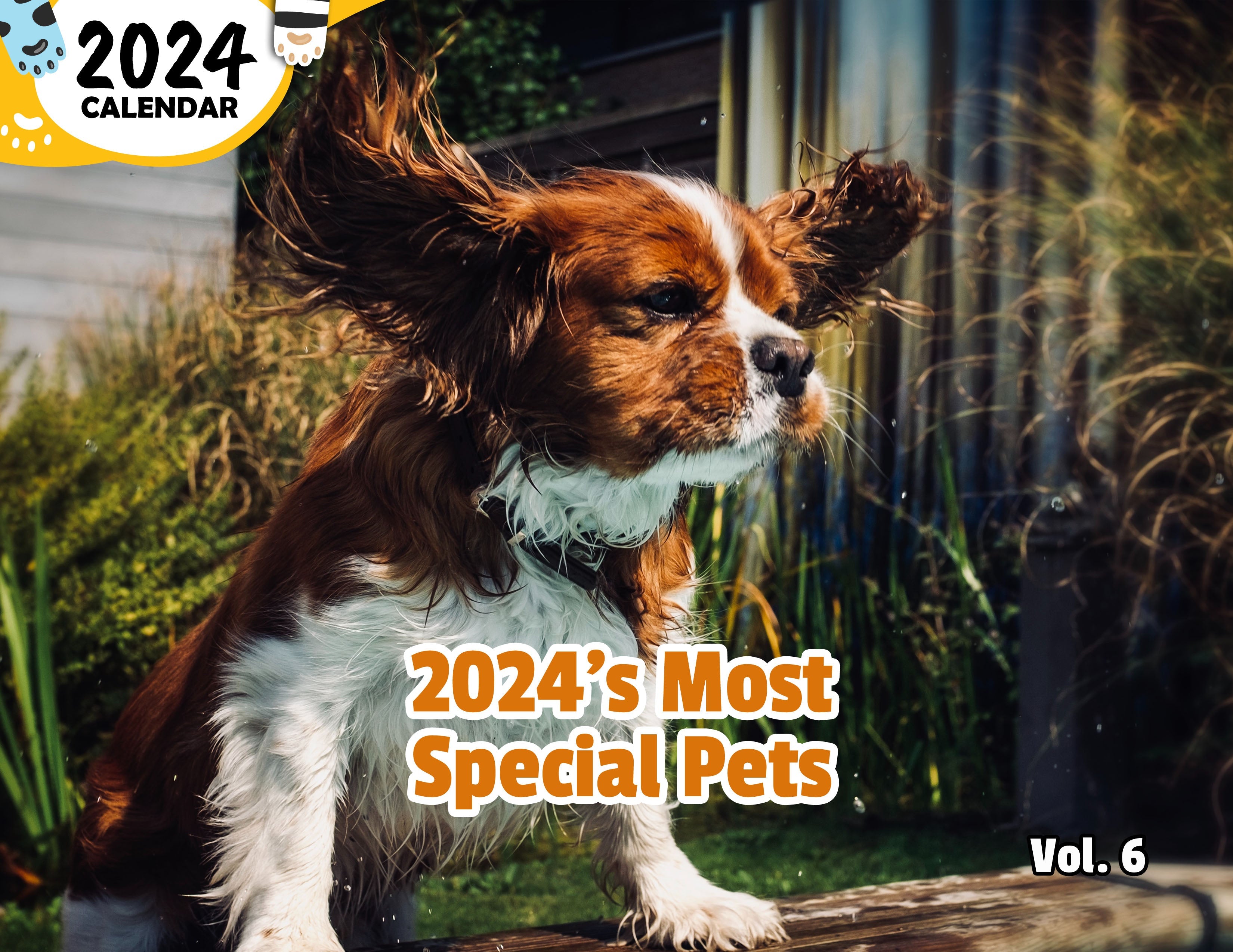 2024's Most Special Pets Volume Six: 2024 Wall Calendar (Published)