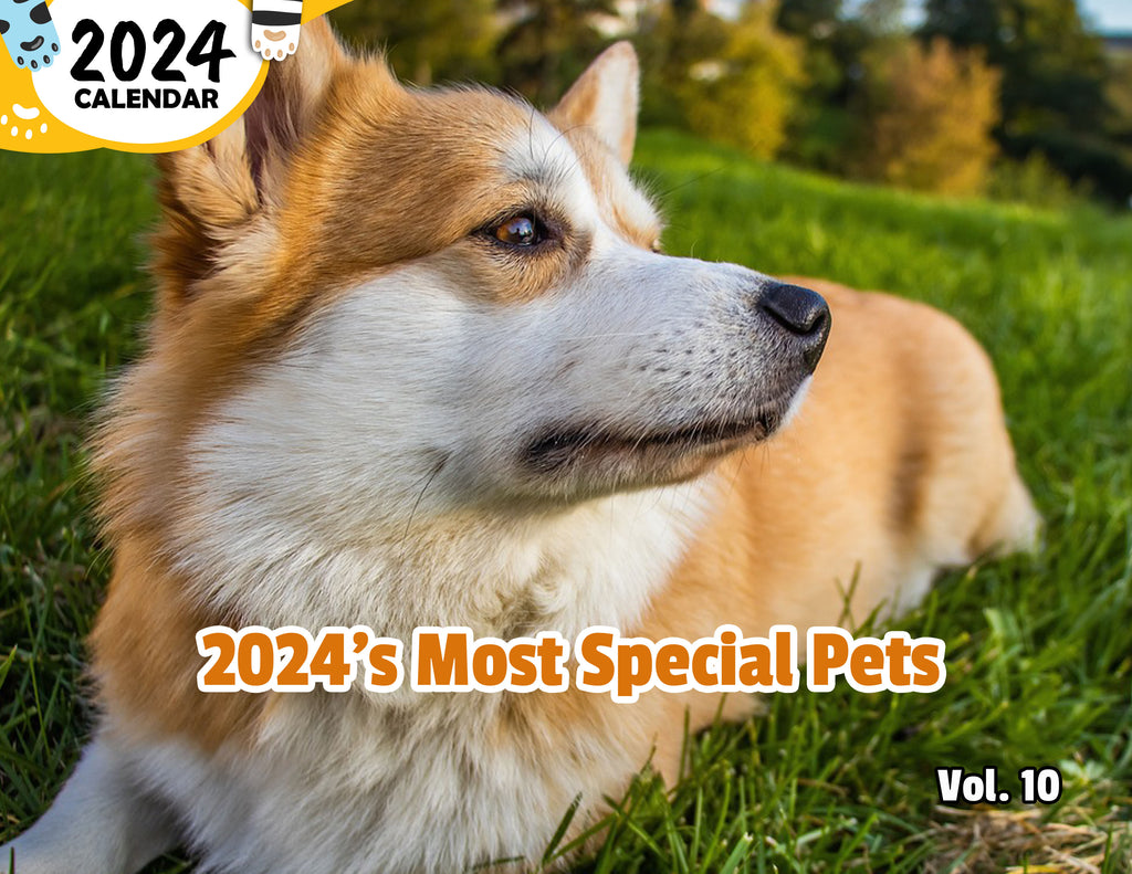 2024's Most Special Pets Volume Ten: 2024 Wall Calendar (Published)