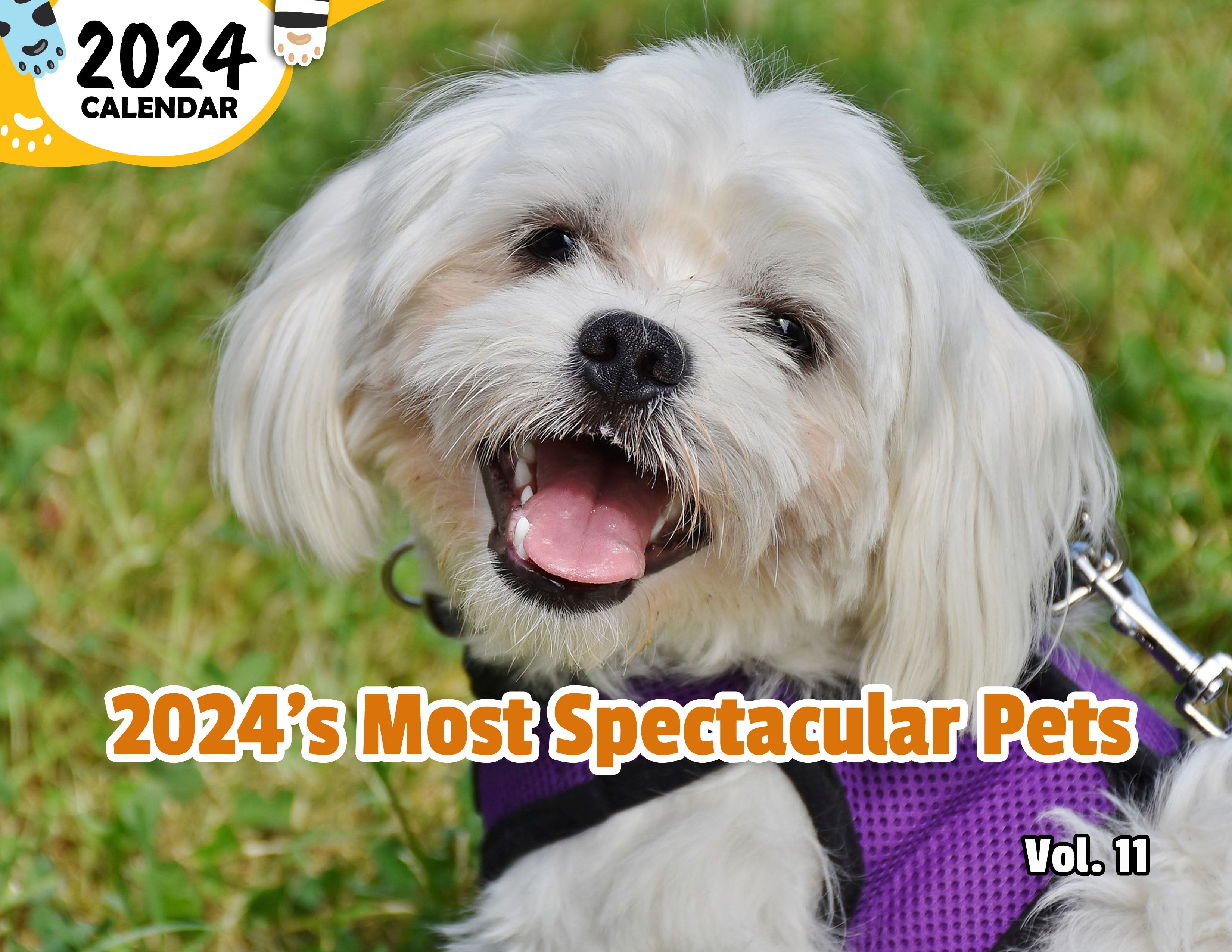 2024's Most Spectacular Pets Volume Eleven: 2024 Wall Calendar (Published)