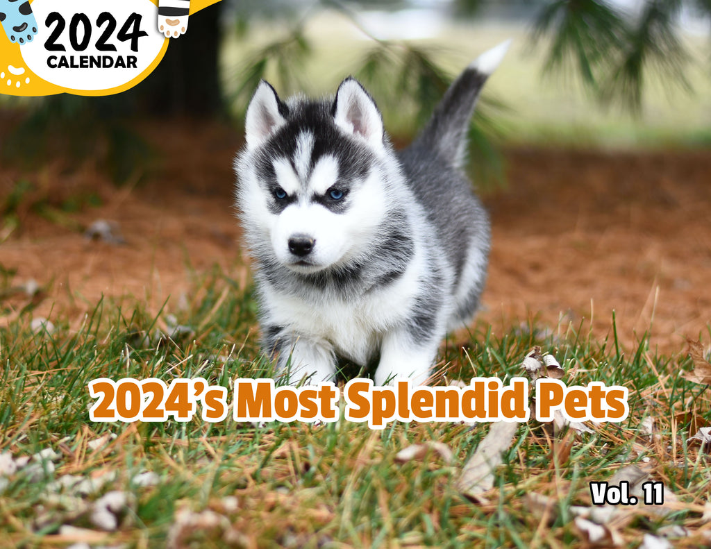 2024's Most Splendid Pets Volume Eleven: 2024 Wall Calendar (Published)