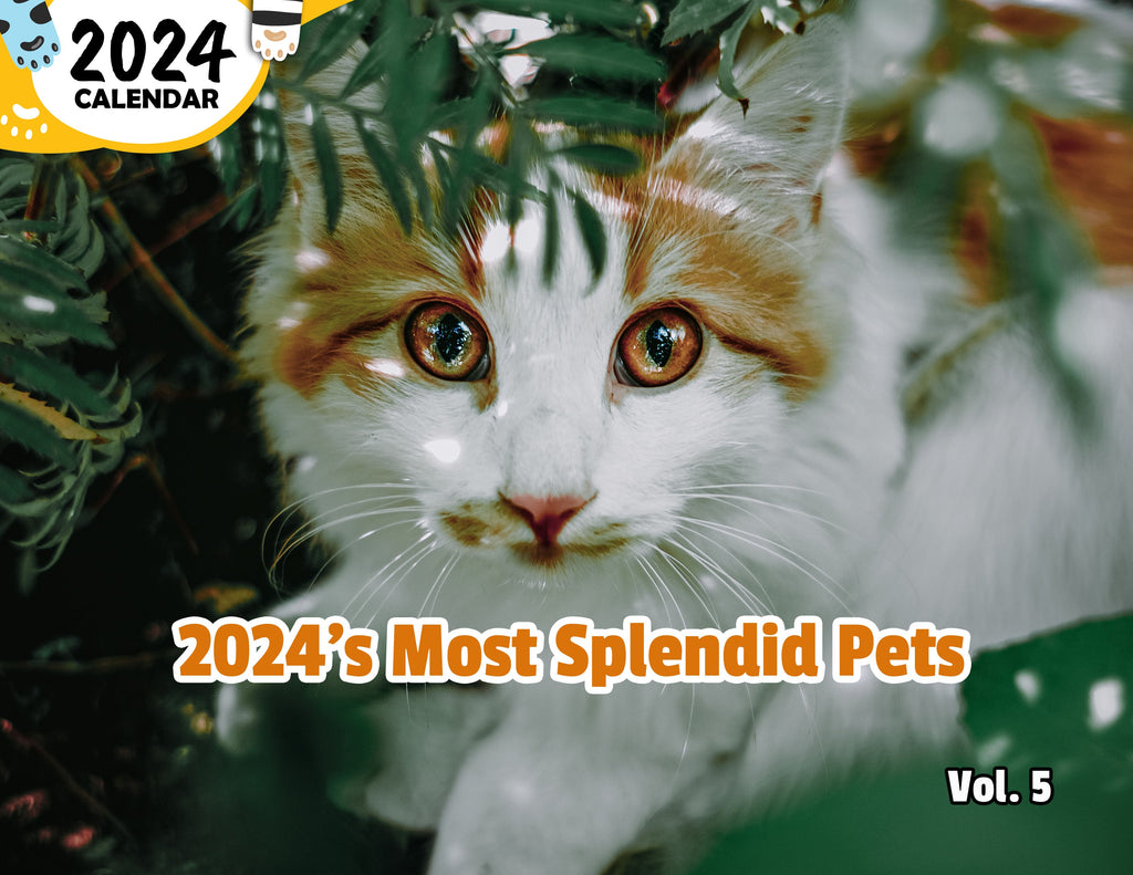 2024's Most Splendid Pets Volume Five: 2024 Wall Calendar (Published)