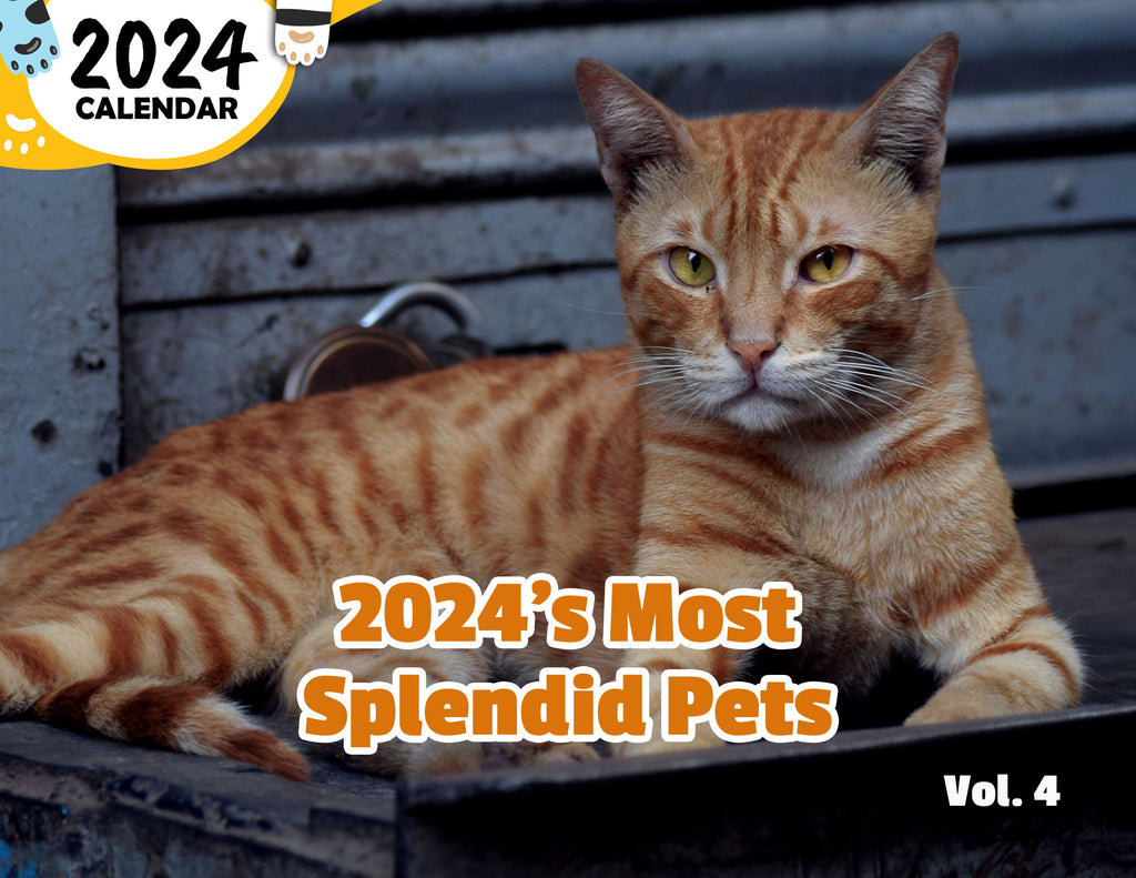 2024's Most Splendid Pets Volume Four: 2024 Wall Calendar (Published)