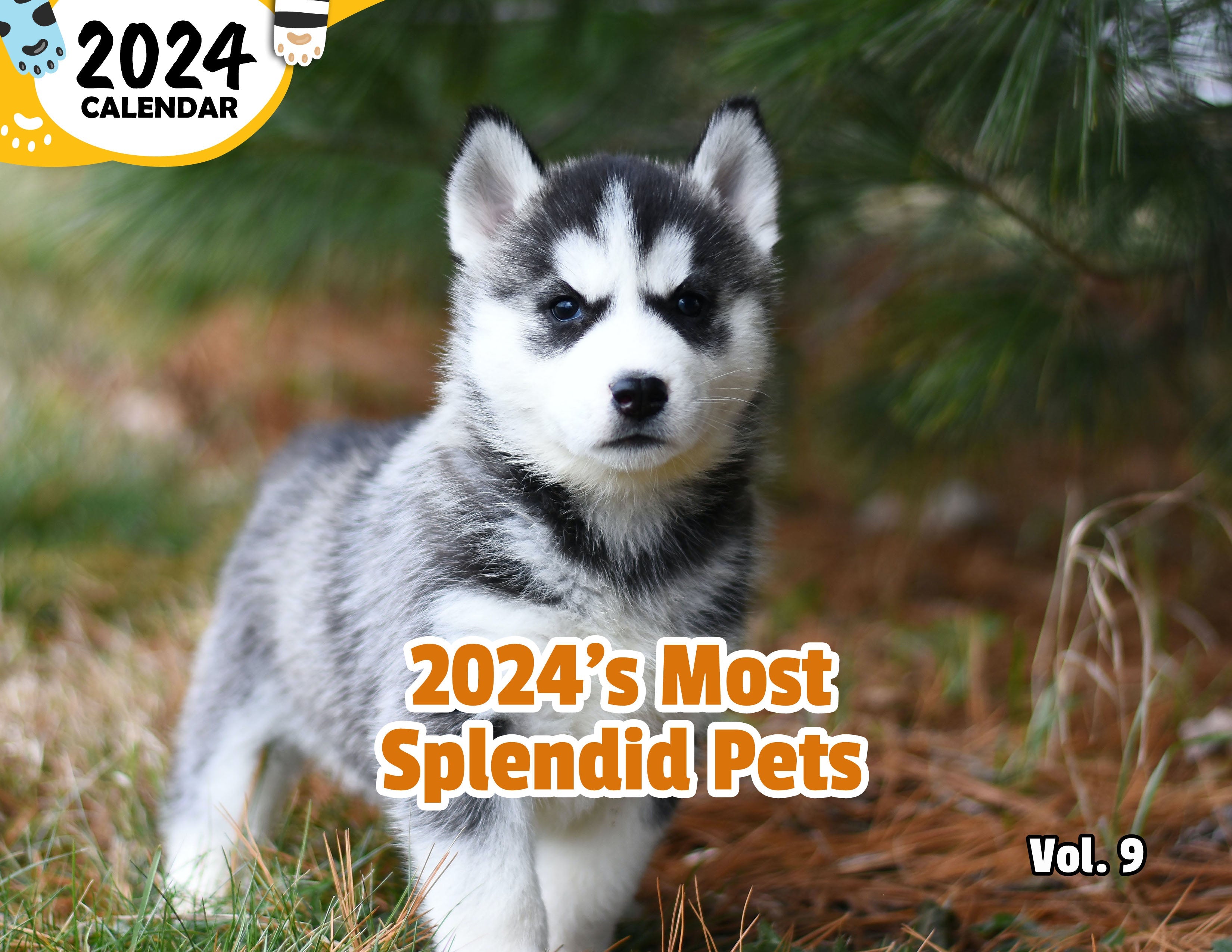 2024's Most Splendid Pets Volume Nine: 2024 Wall Calendar (Published)
