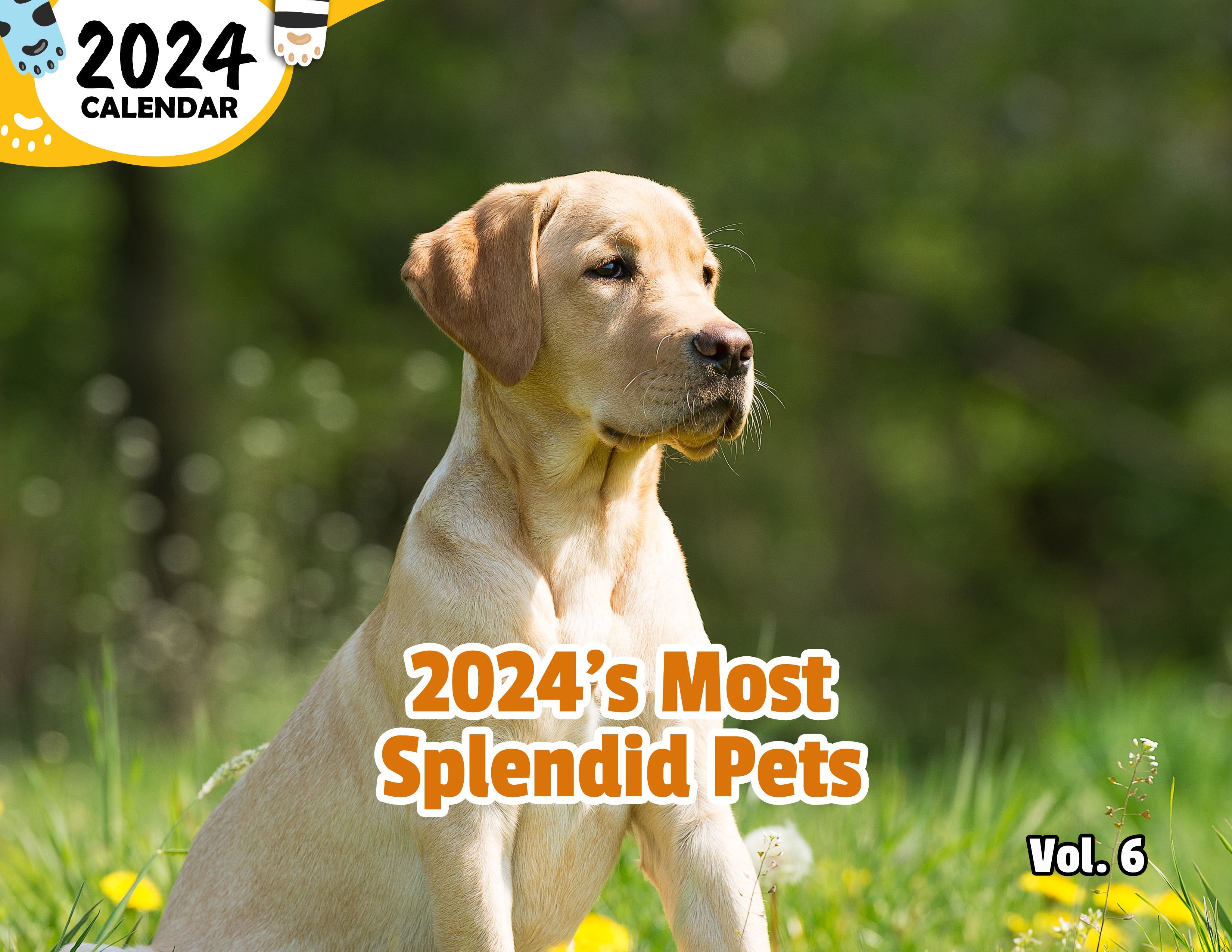 2024's Most Splendid Pets Volume Six: 2024 Wall Calendar (Published)