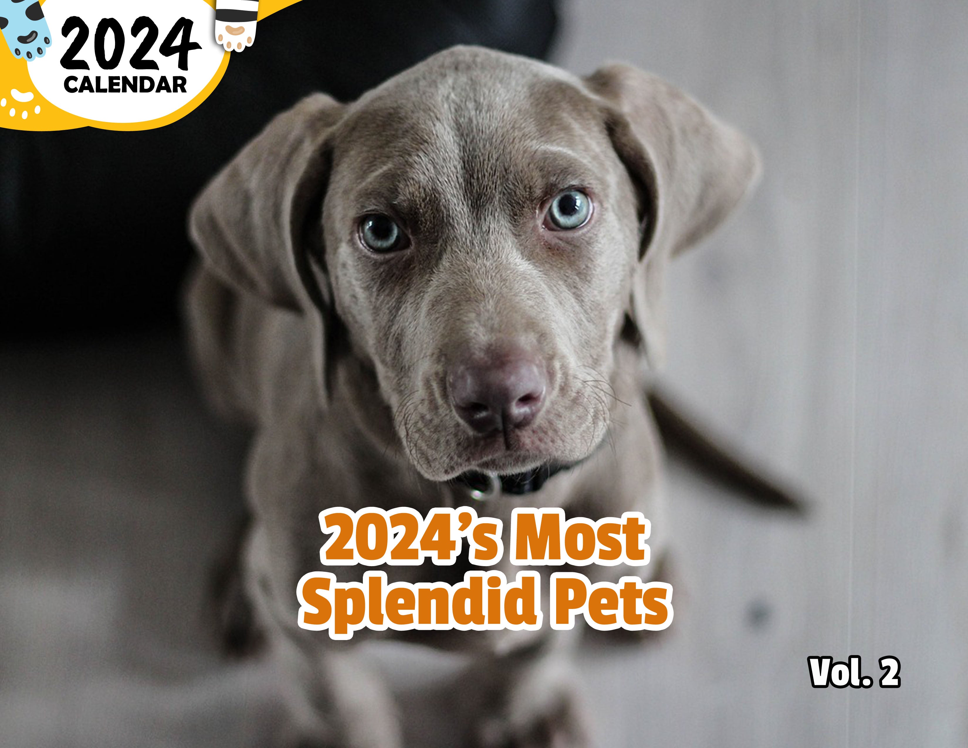 2024's Most Splendid Pets Volume Two: 2024 Wall Calendar (Published)