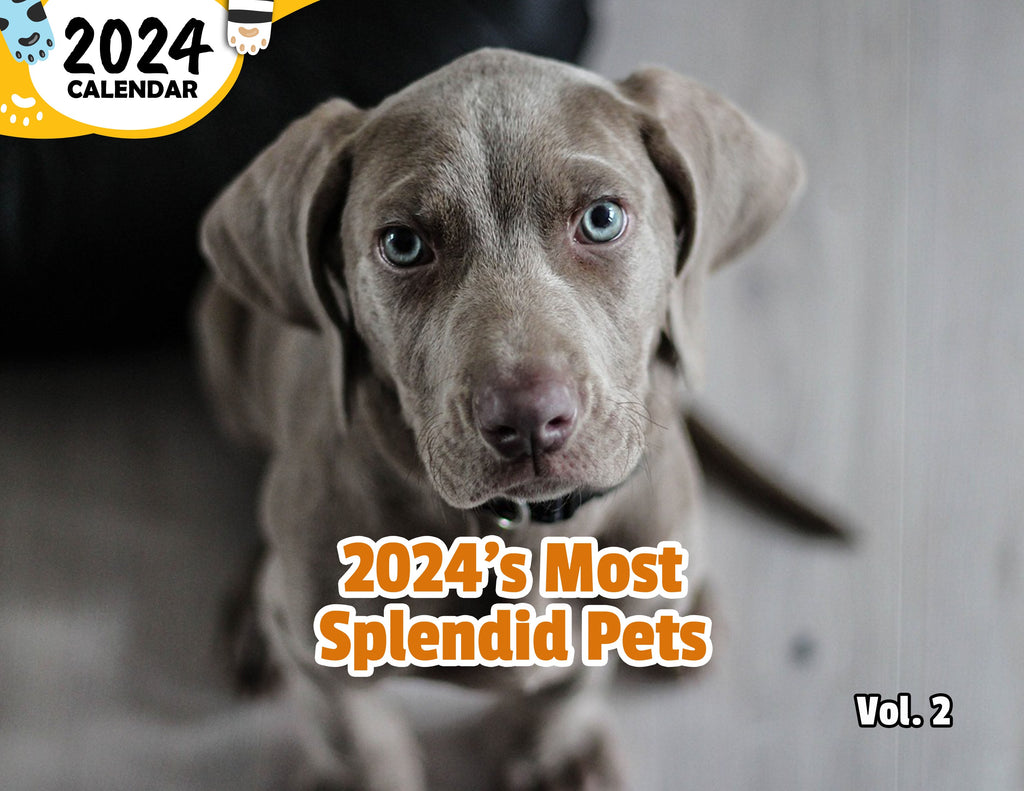 2024's Most Splendid Pets Volume Two: 2024 Wall Calendar (Published)