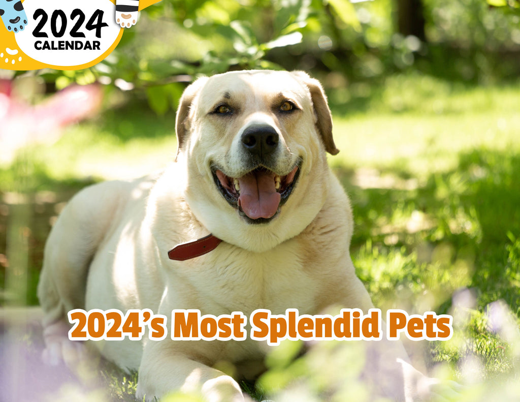2024's Most Splendid Pets: 2024 Wall Calendar (Published)