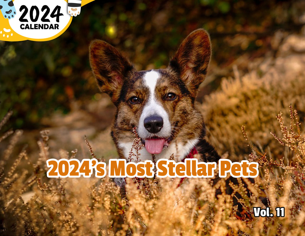 2024's Most Stellar Pets Volume Eleven: 2024 Wall Calendar (Published)