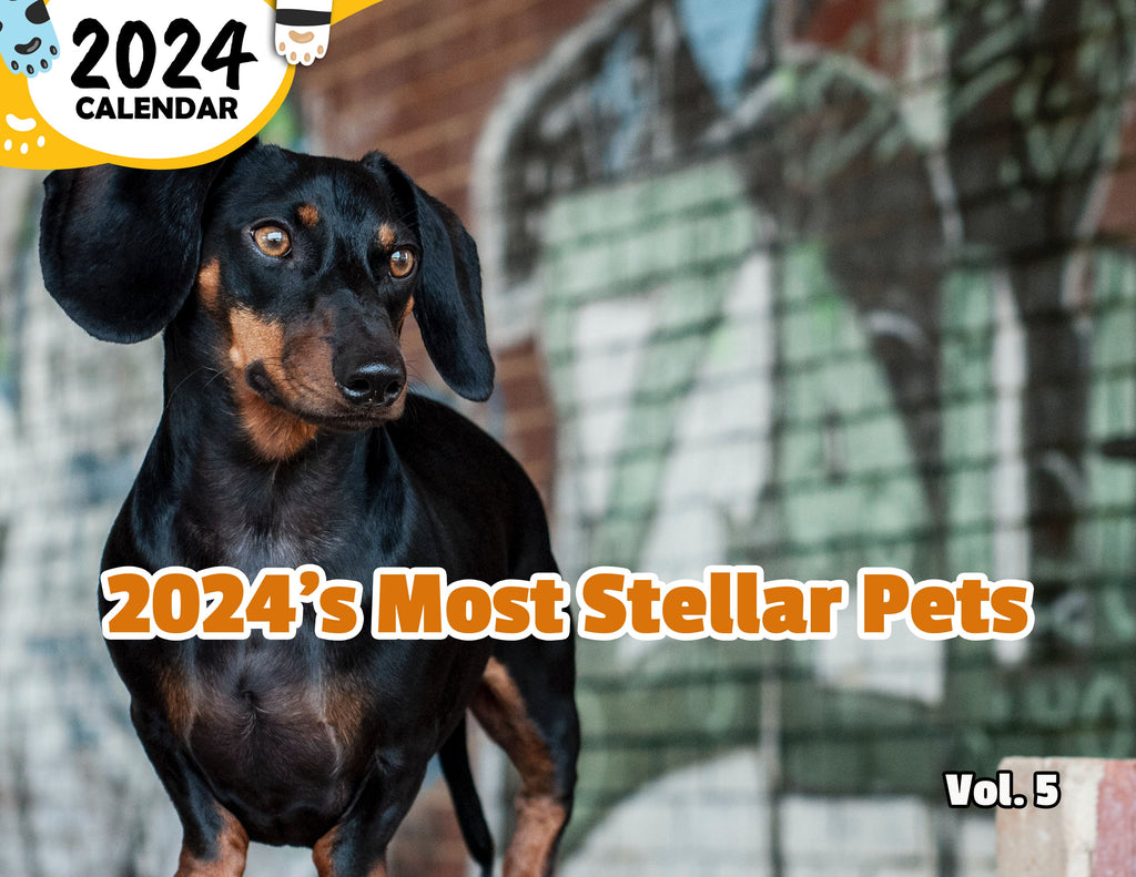2024's Most Stellar Pets Volume Five: 2024 Wall Calendar (Published)