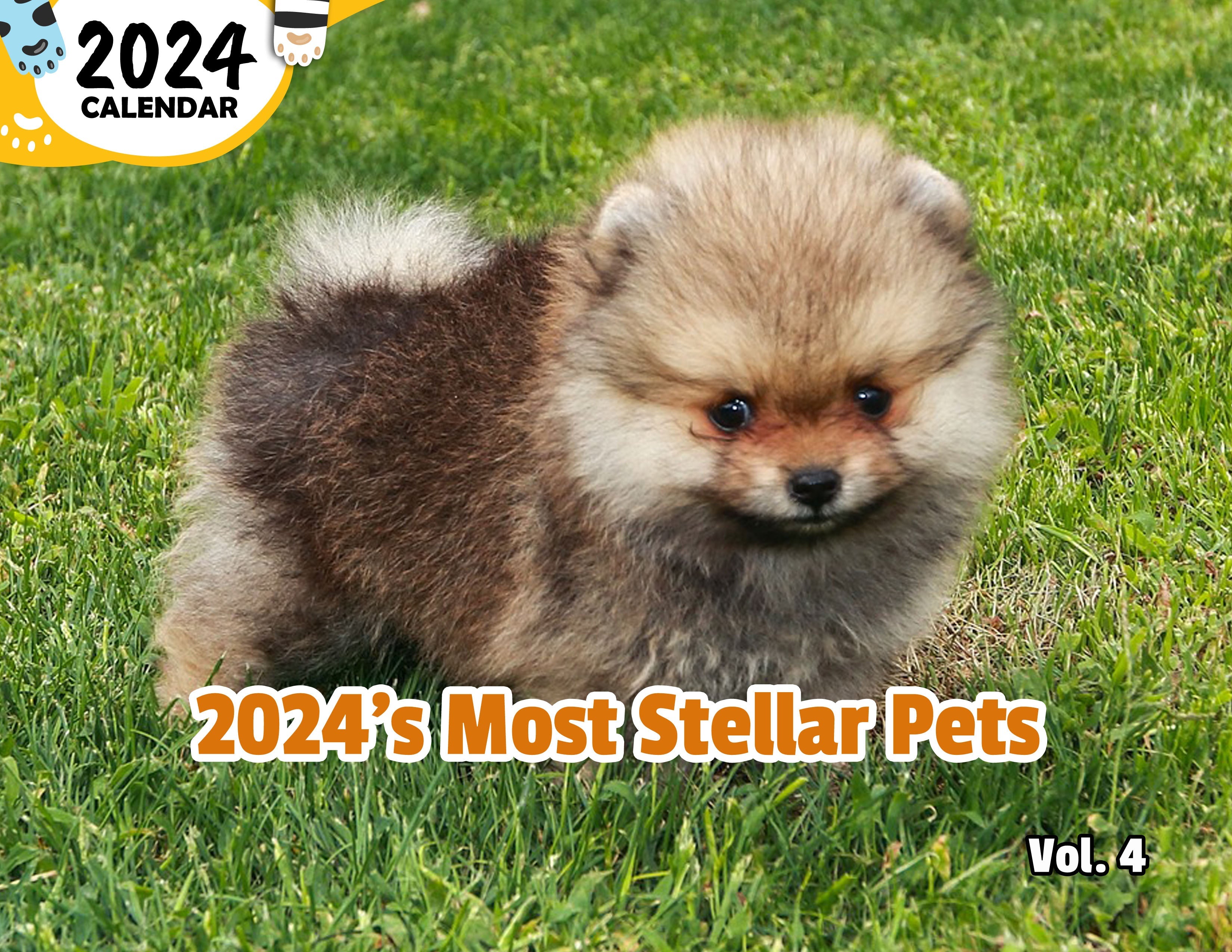 2024's Most Stellar Pets Volume Four: 2024 Wall Calendar (Published)