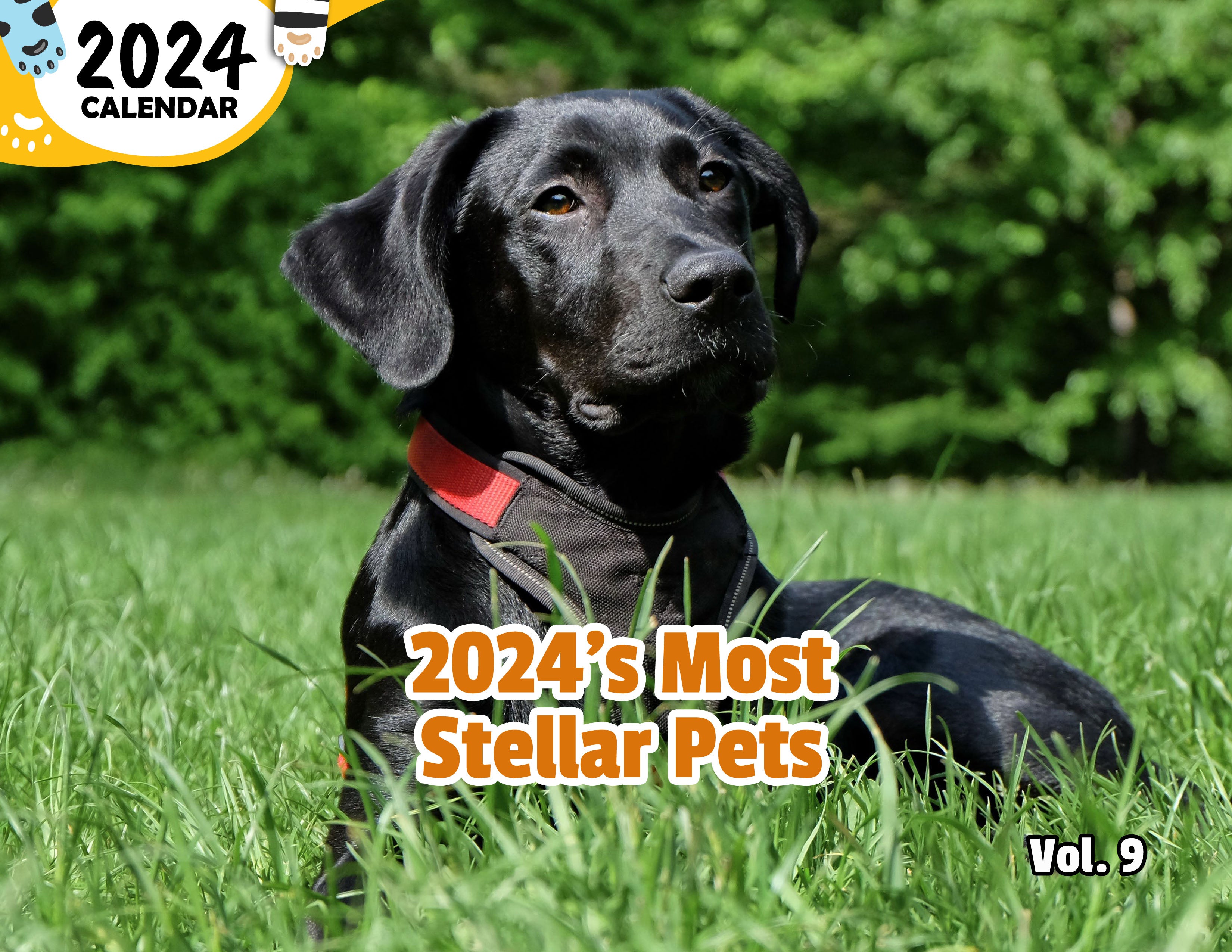 2024's Most Stellar Pets Volume Nine: 2024 Wall Calendar (Published)