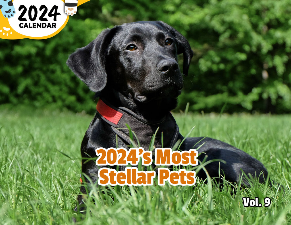 2024's Most Stellar Pets Volume Nine: 2024 Wall Calendar (Published)