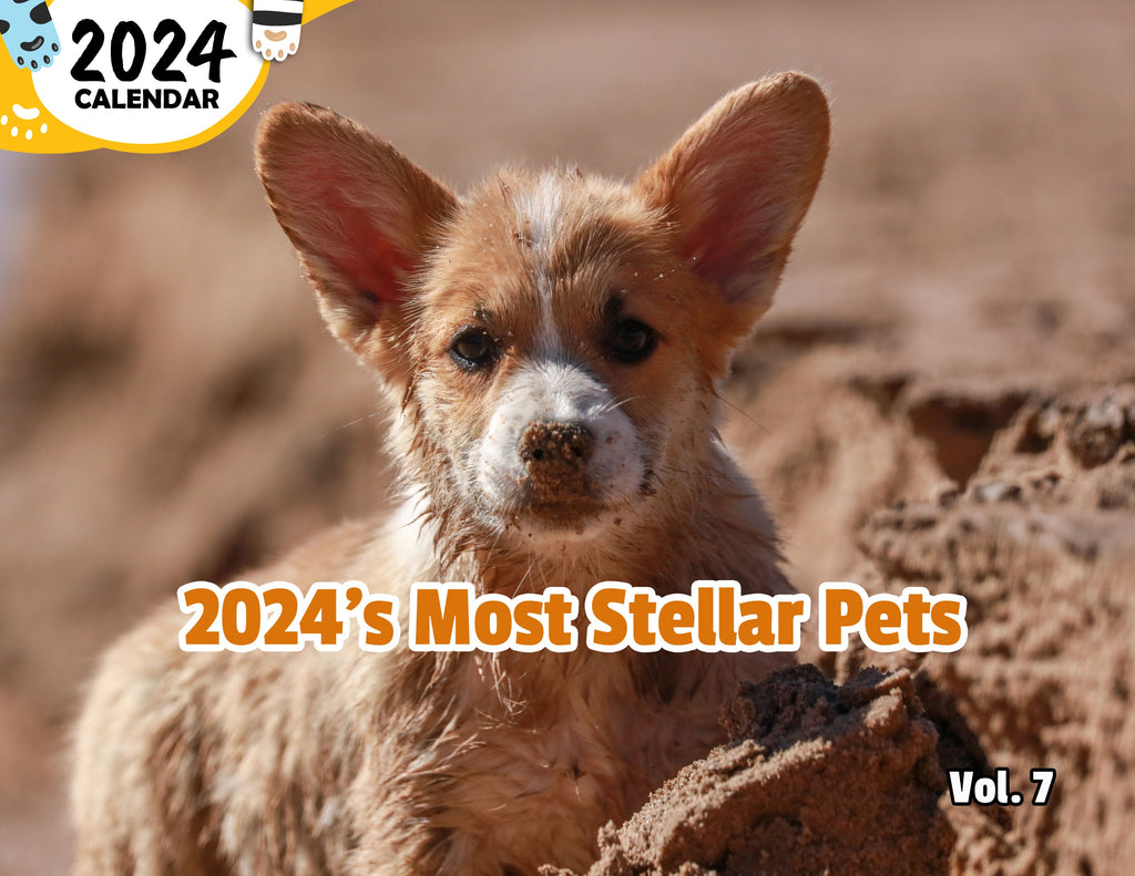 2024's Most Stellar Pets Volume Seven: 2024 Wall Calendar (Published)