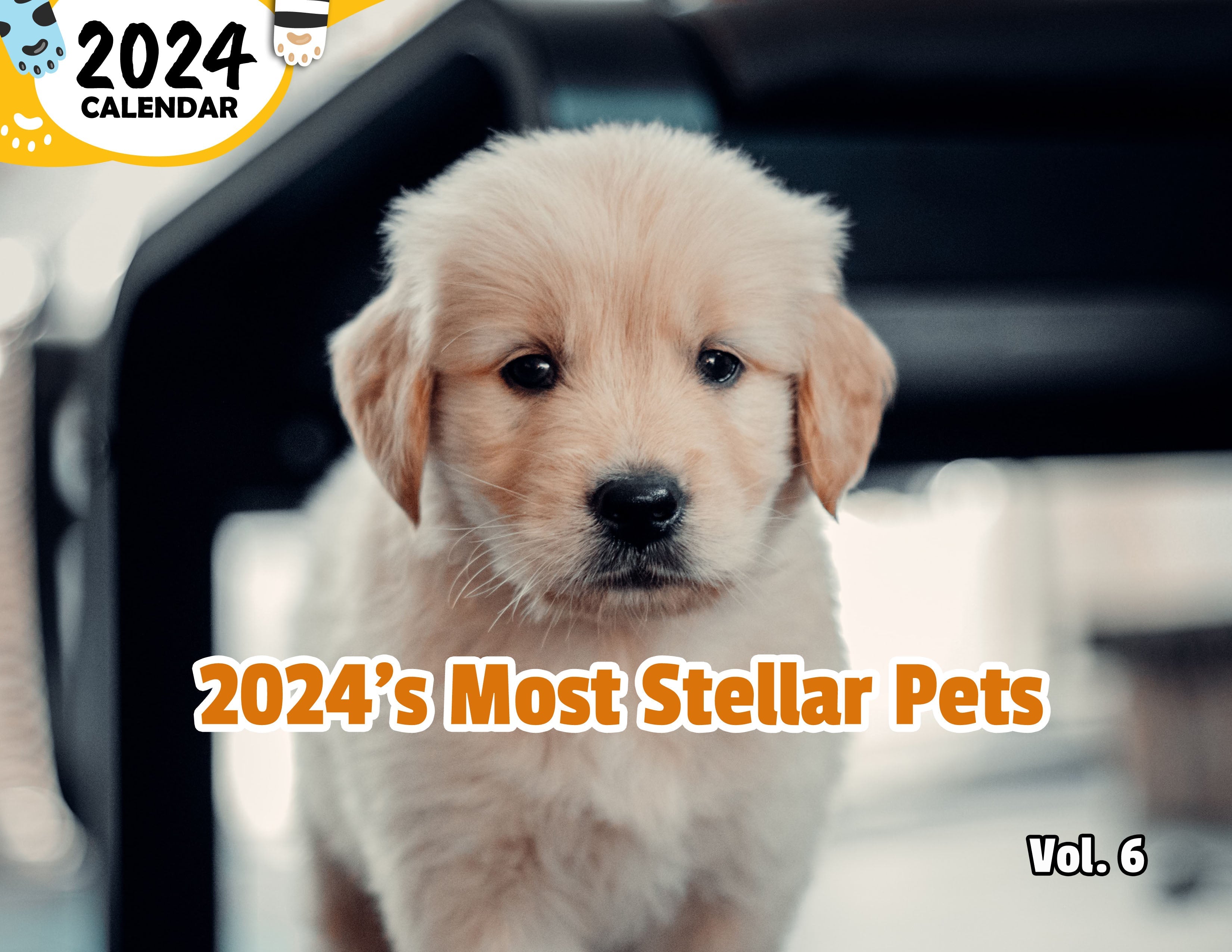 2024's Most Stellar Pets Volume Six: 2024 Wall Calendar (Published)