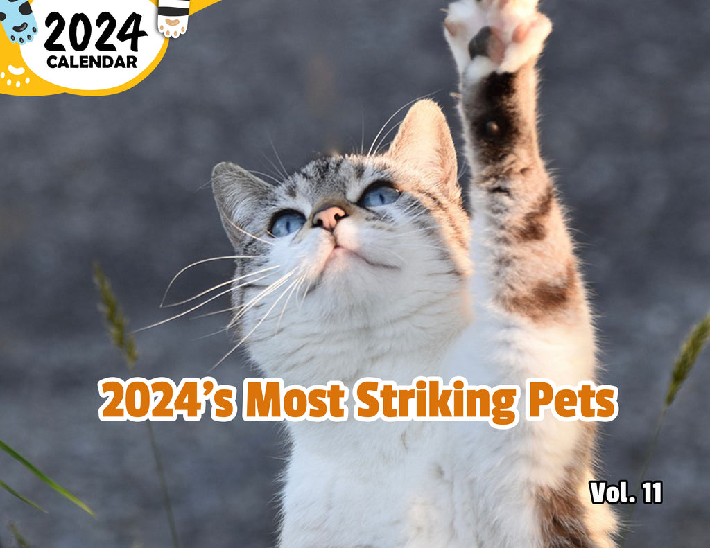 2024's Most Striking Pets Volume Eleven: 2024 Wall Calendar (Published)