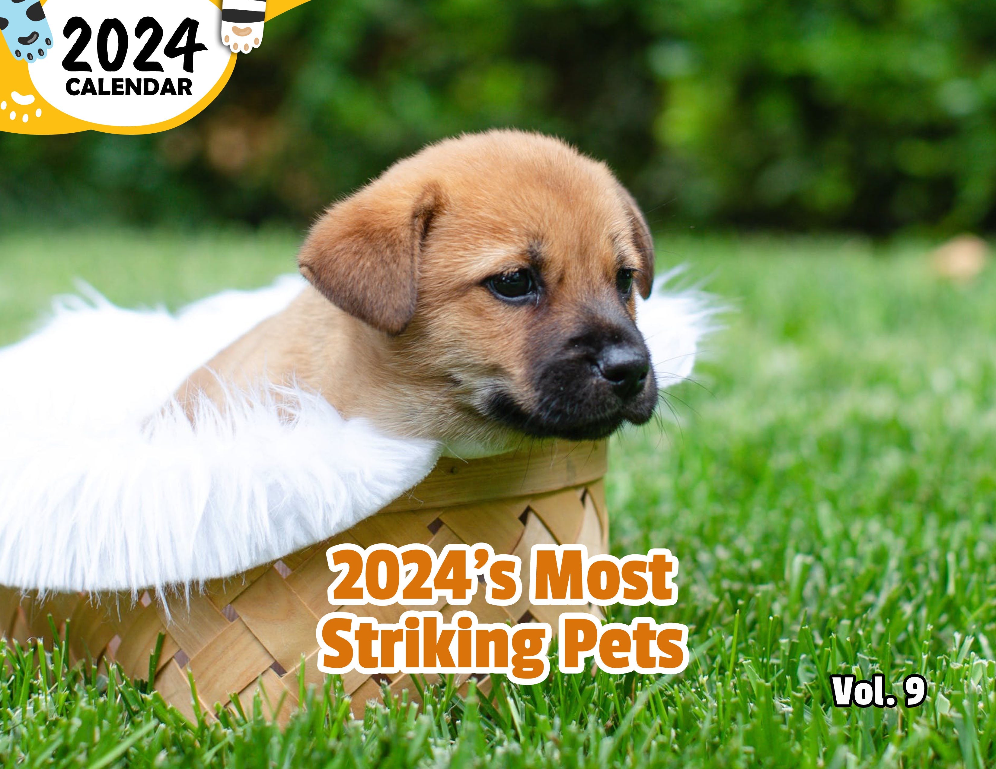 2024's Most Striking Pets Volume Nine: 2024 Wall Calendar (Published)