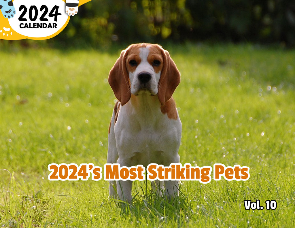 2024's Most Striking Pets Volume Ten: 2024 Wall Calendar (Published)