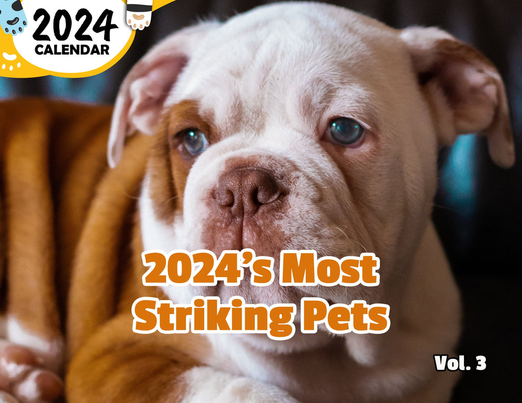 2024's Most Striking Pets Volume Three: 2024 Wall Calendar (Published)