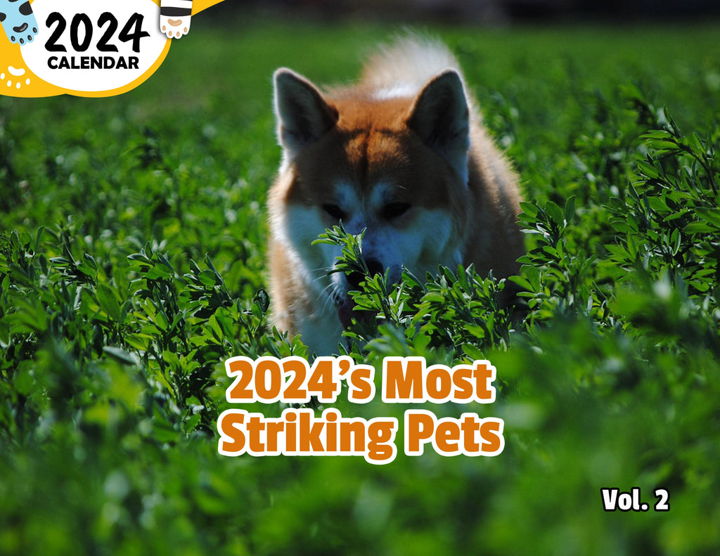 2024's Most Striking Pets Volume Two: 2024 Wall Calendar (Published)