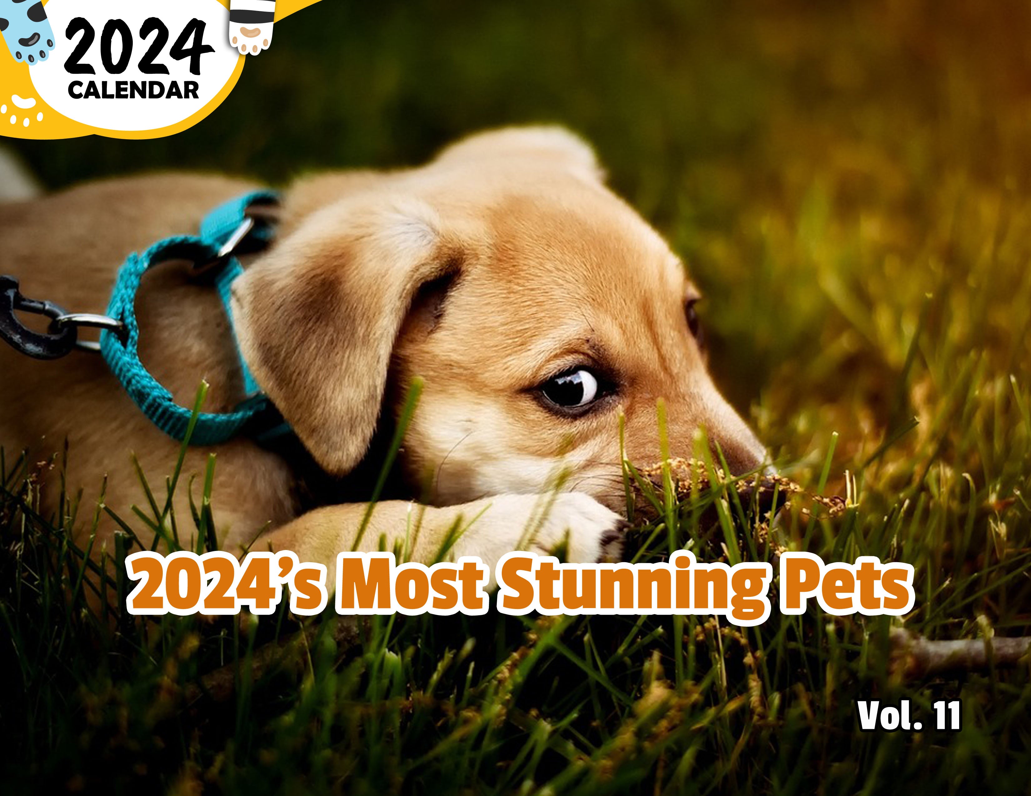 2024's Most Stunning Pets Volume Eleven: 2024 Wall Calendar (Published)