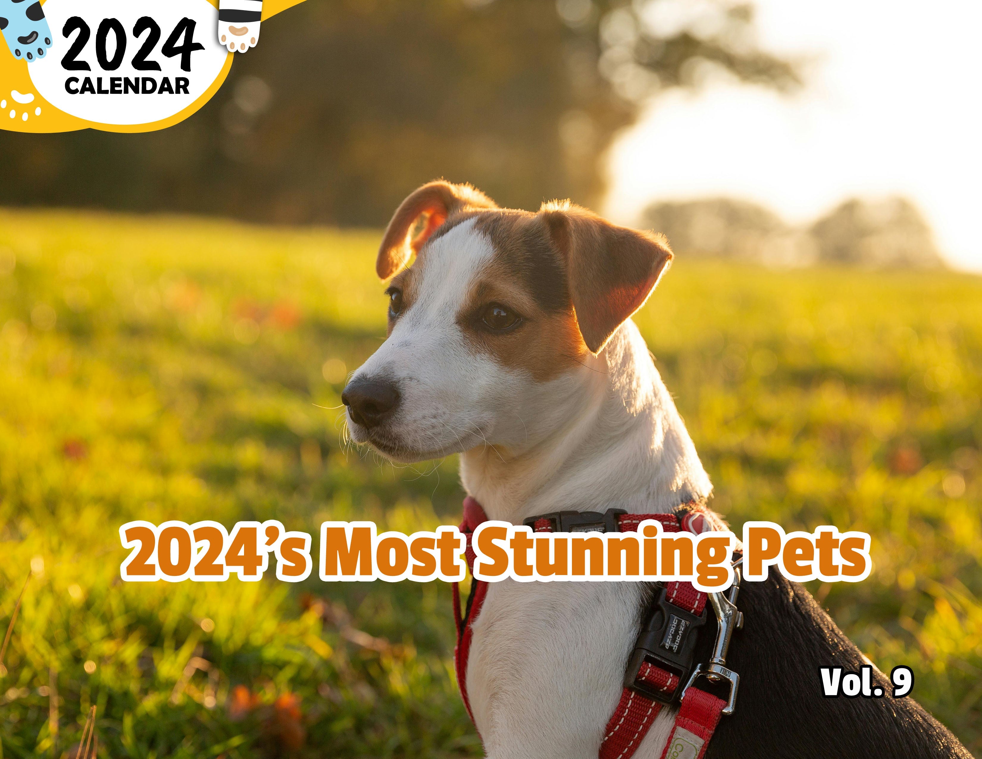 2024's Most Stunning Pets Volume Nine: 2024 Wall Calendar (Published)