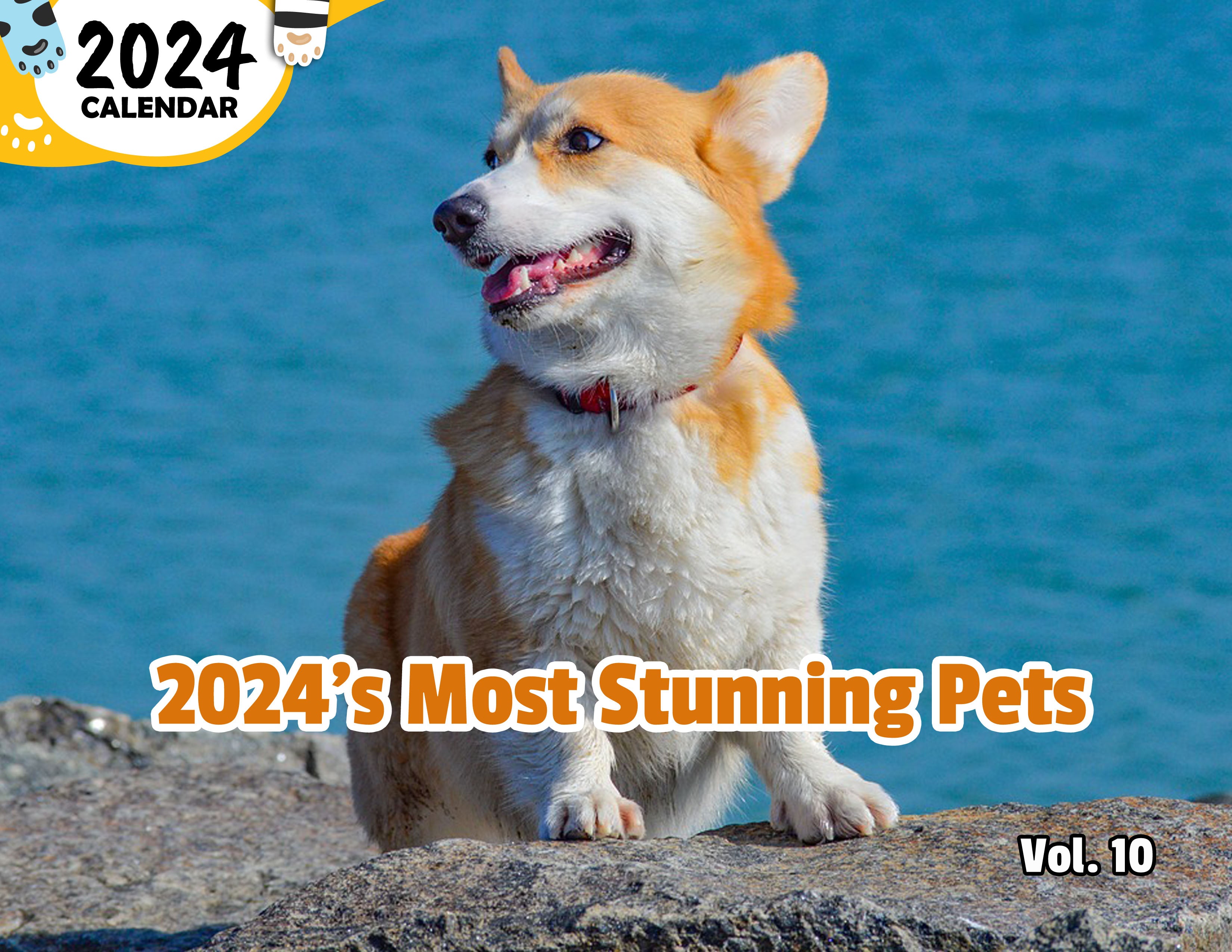 2024's Most Stunning Pets Volume Ten: 2024 Wall Calendar (Published)