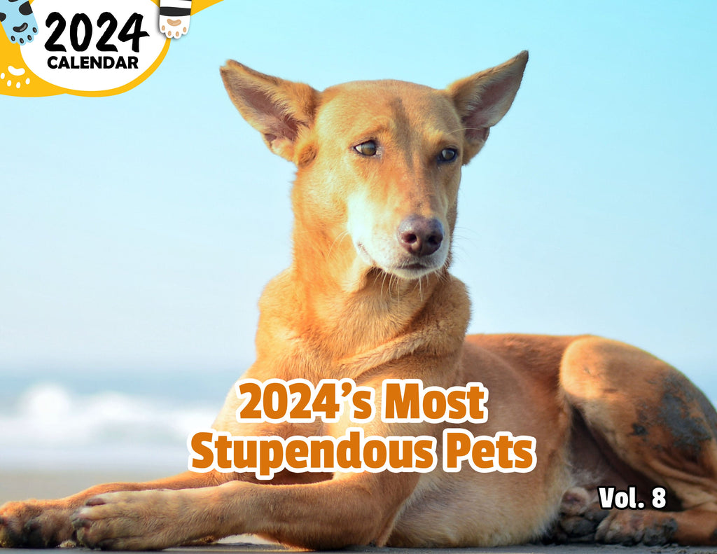 2024's Most Stupendous Pets Volume Eight: 2024 Wall Calendar (Published)
