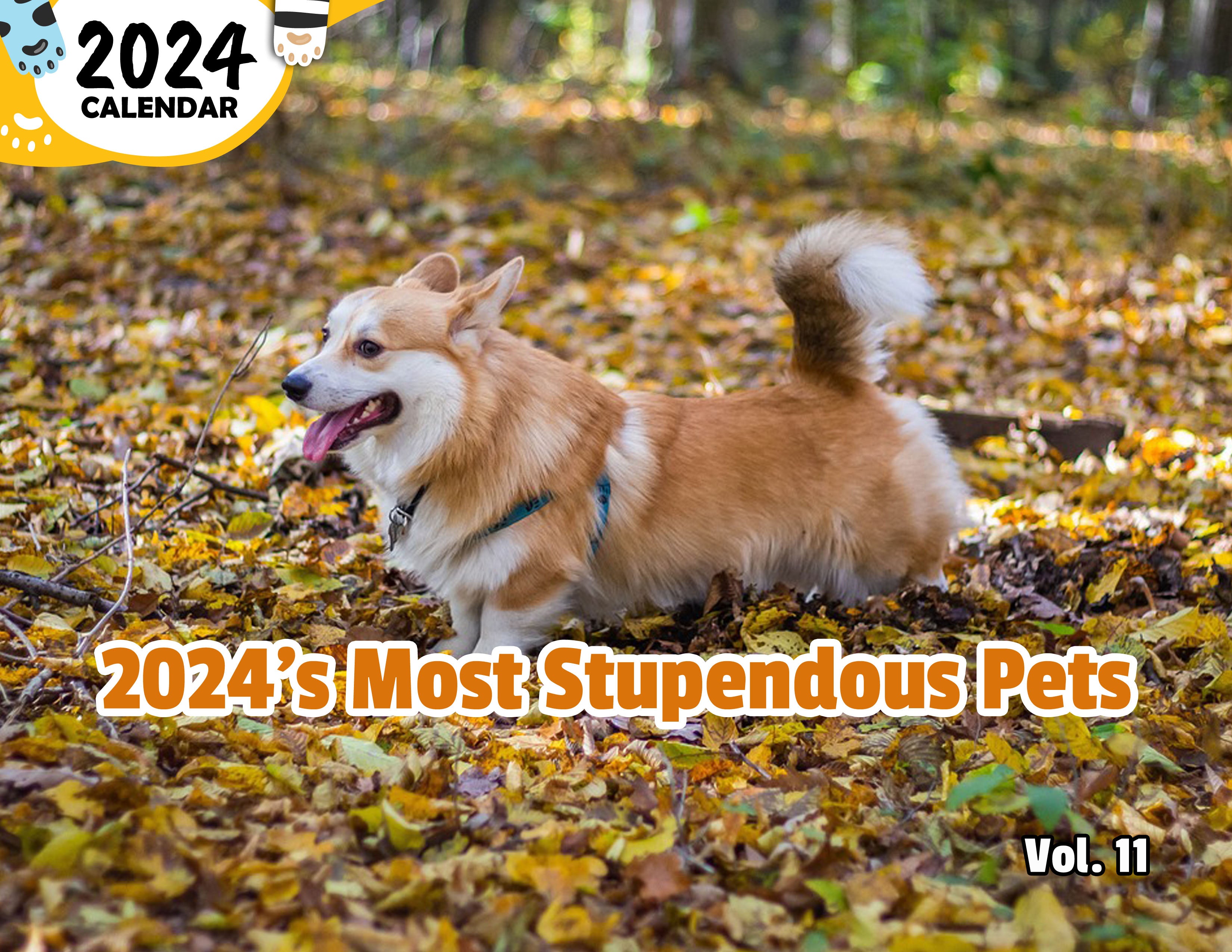 2024's Most Stupendous Pets Volume Eleven: 2024 Wall Calendar (Published)