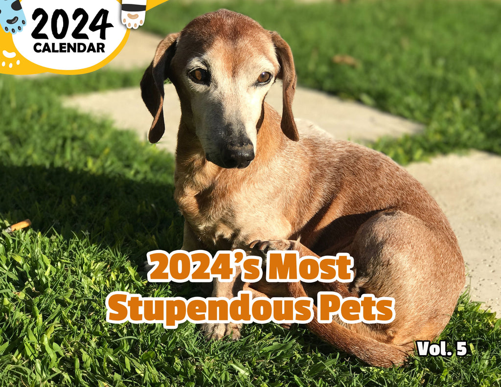 2024's Most Stupendous Pets Volume Five: 2024 Wall Calendar (Published)