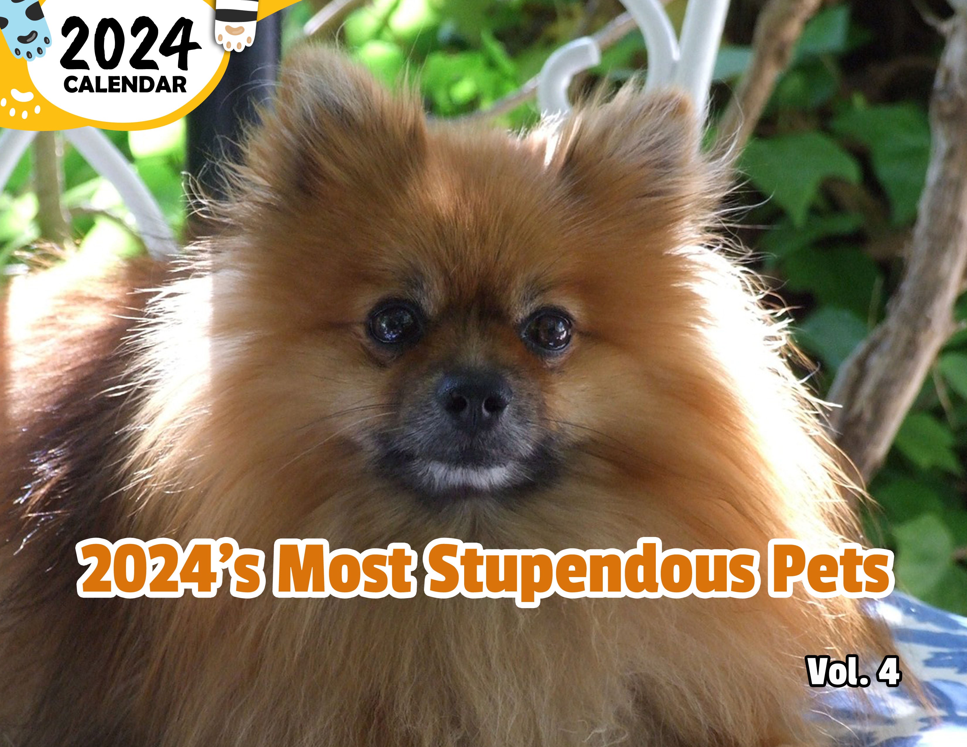 2024's Most Stupendous Pets Volume Four: 2024 Wall Calendar (Published)