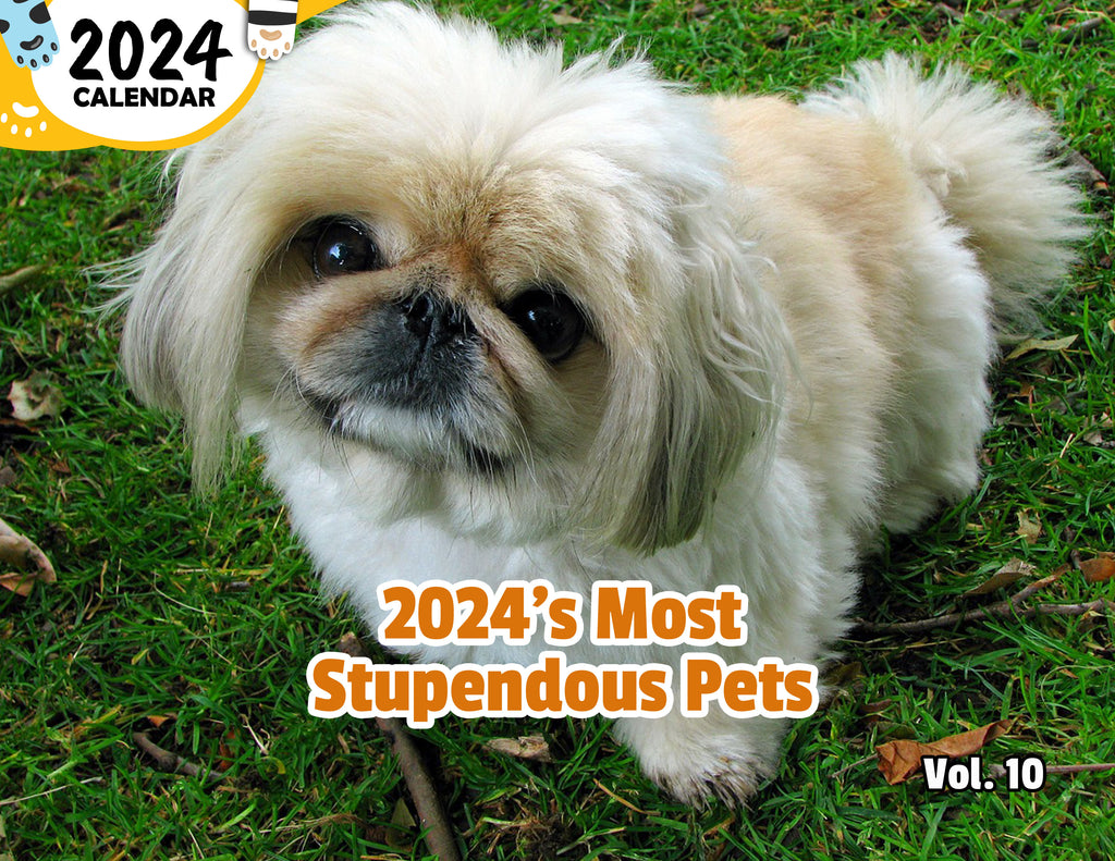 2024's Most Stupendous Pets Volume Ten: 2024 Wall Calendar (Published)