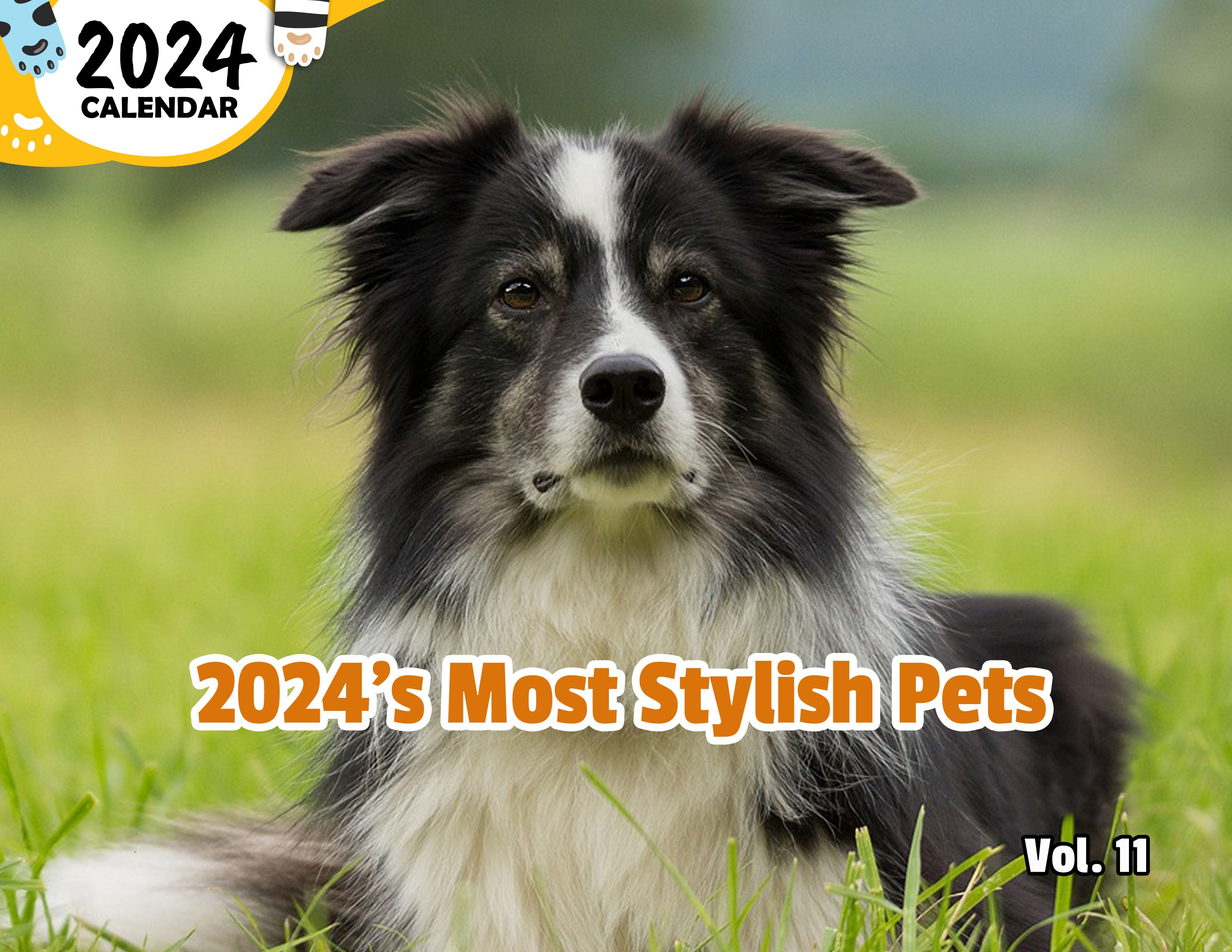 2024's Most Stylish Pets Volume Eleven: 2024 Wall Calendar (Published)